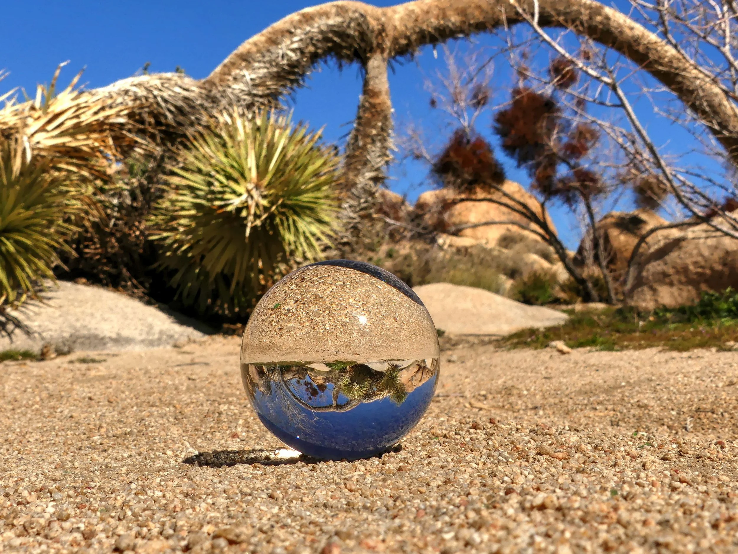 Lyn McNees-Arch Reflection
