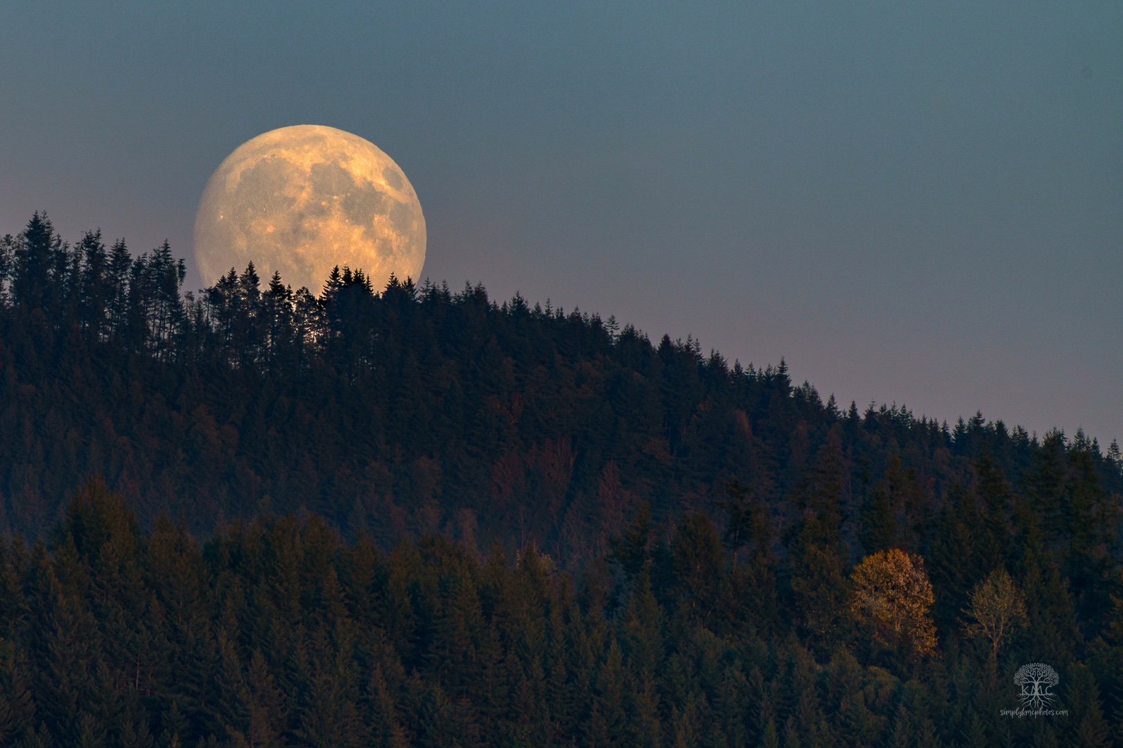 Kathy Conzelman-Hunter's Moon