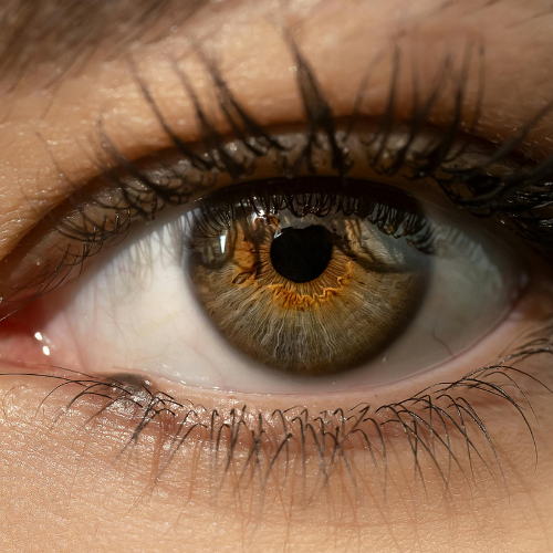 Korean Lash Lift Training Course