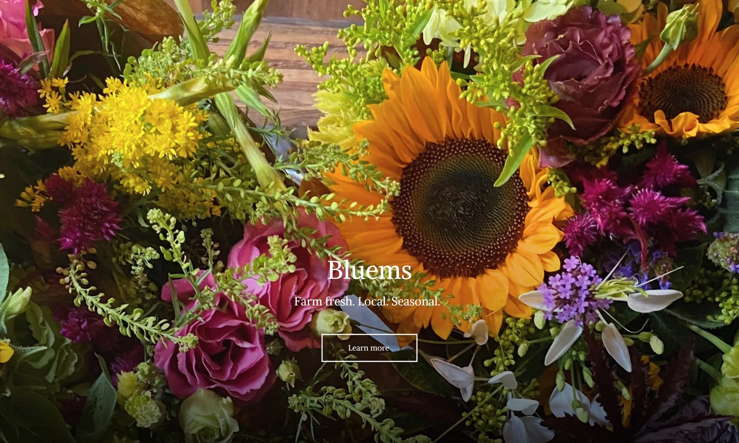 BLUEMS HERO IMG June '25.jpg