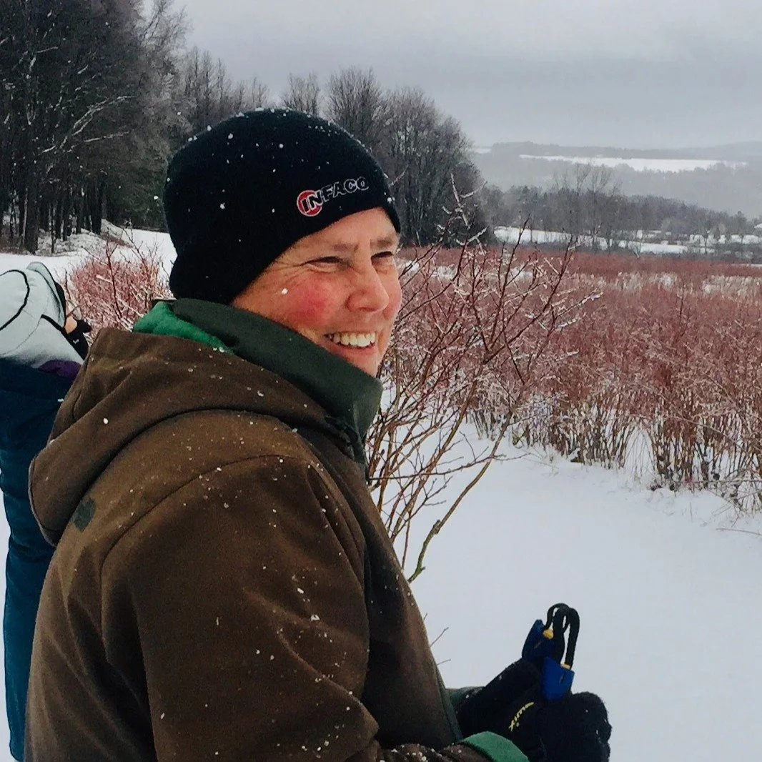 My desk looks out over &ldquo;The Patch&rdquo;, a place I&rsquo;ve known for as long as I can remember. The rows of blueberries planted by my family over the years gently roll southward over a series of knolls&mdash;softly shaped hills with sectional