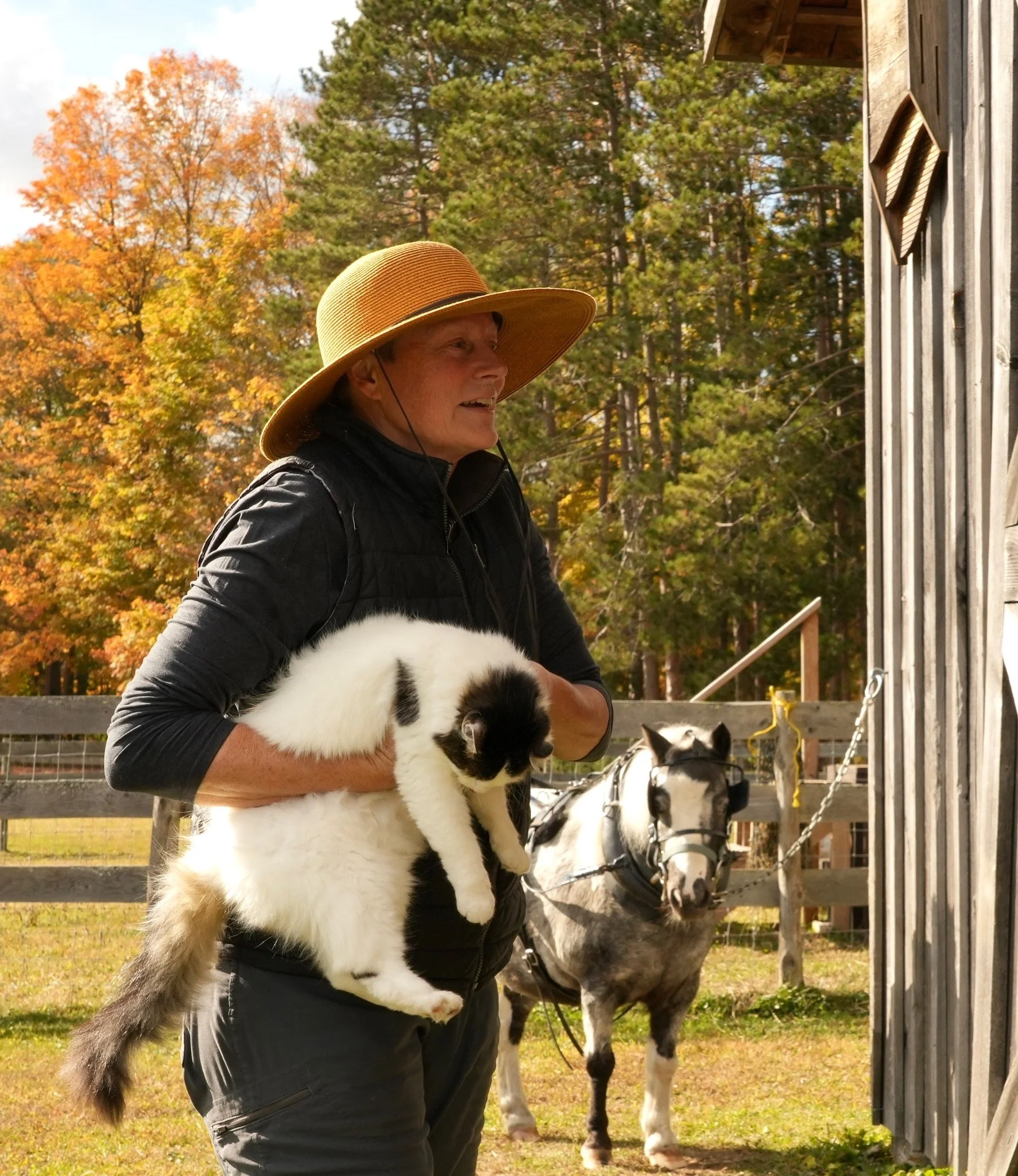 Beth with our farm cat and our pony blue. .JPG