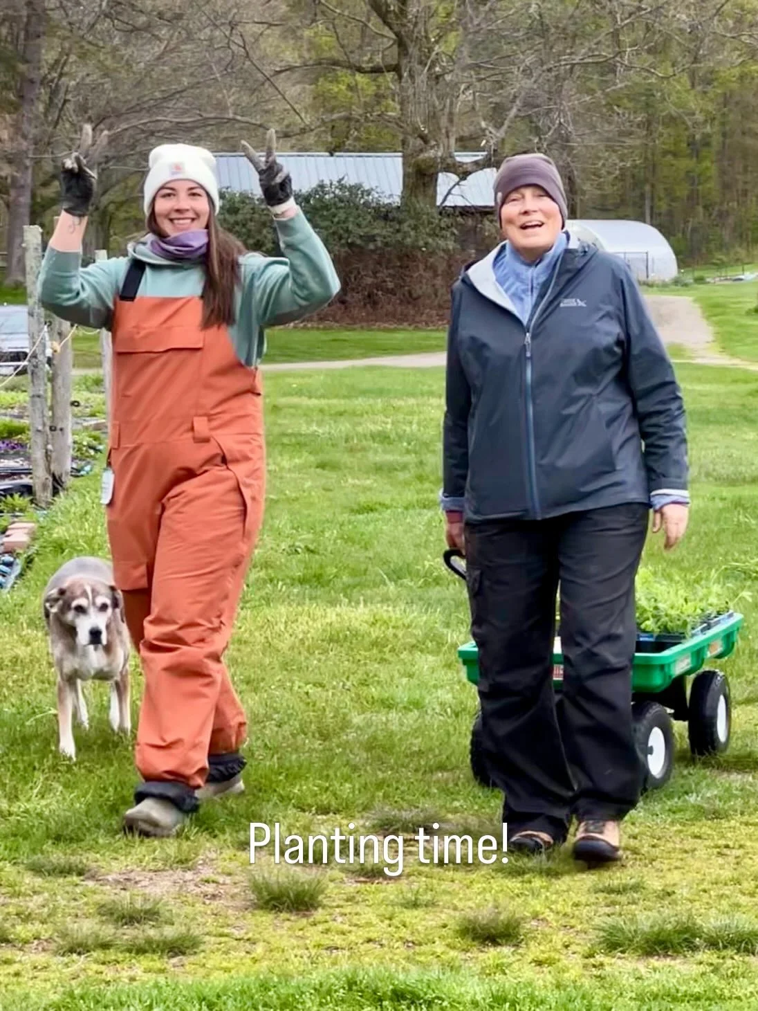 This is busy time for planting in our flower cutting garden. We&rsquo;re feeling very excited about another season of pick-your-own flowers and farmstand bouquets! ✅Lisianthus ✅Dahlias