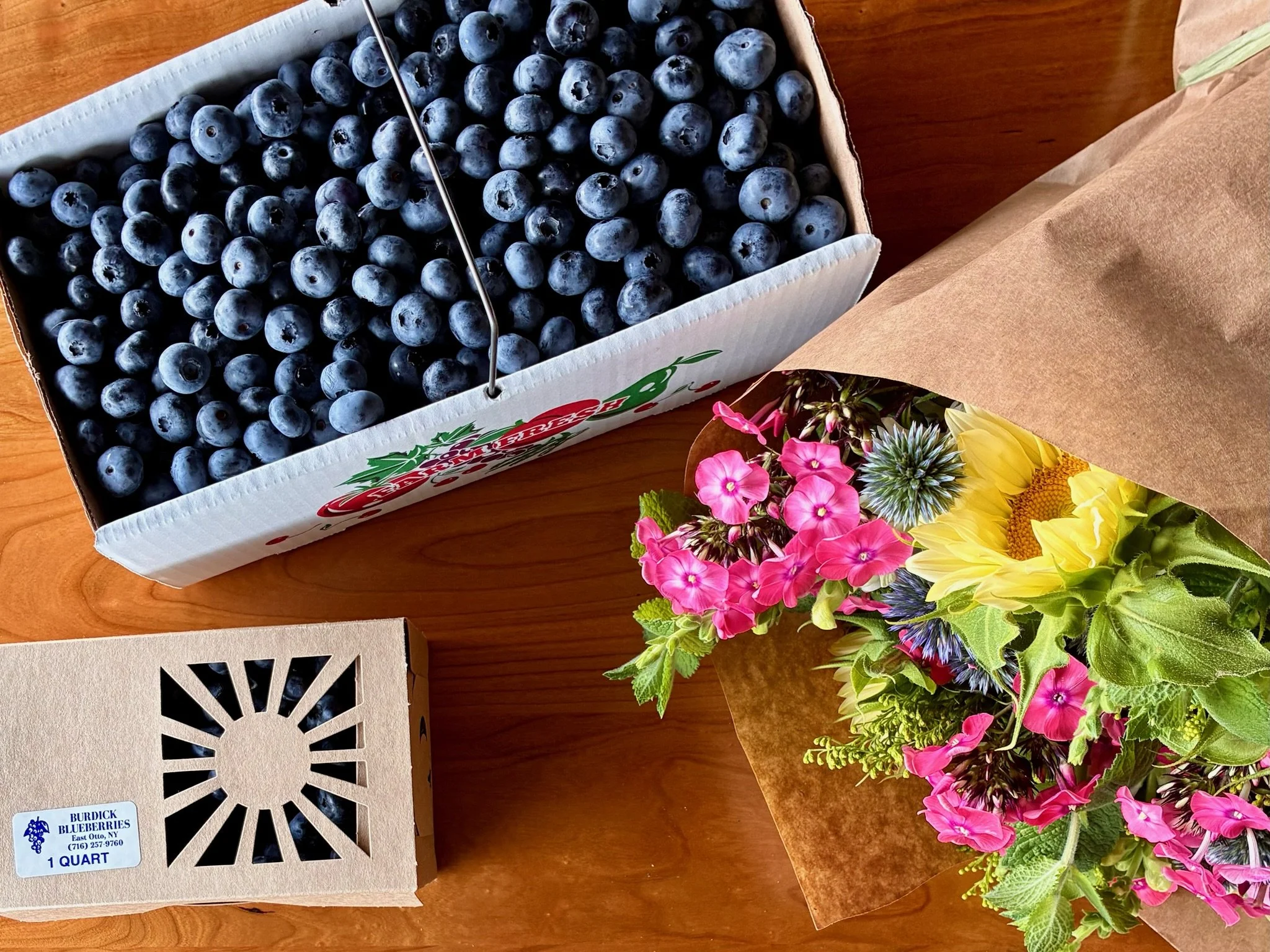 Burdick Blueberries 2026 Season Blues and BLuems