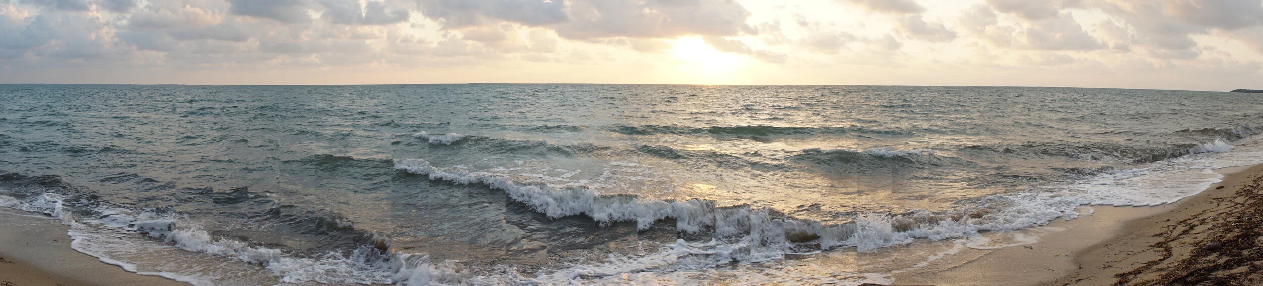 “There's always a story. It's all stories, really..." Our promise for this community-based research experience.