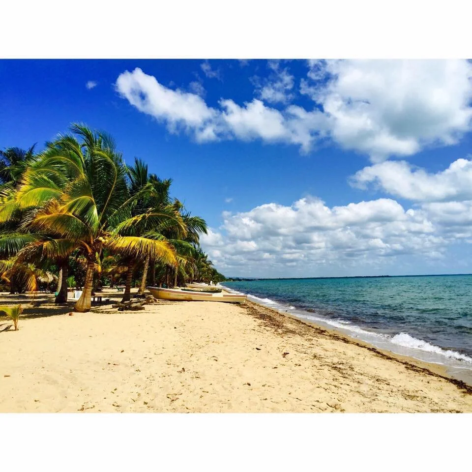 Overwhelming Demand for Community GIS and Citizen Science!