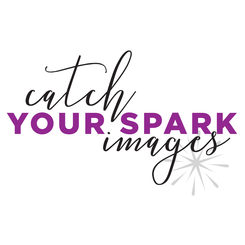 Catch Your Spark Images For An Entrepreneur Terri Burke Photographer