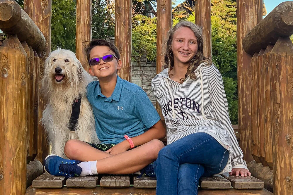 goldendoodle sits on big chair with boy and his big sister