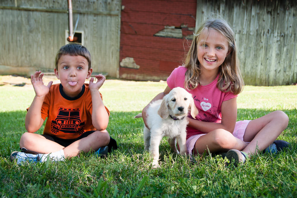 little brother makes a silly face while sister holds the new puppy