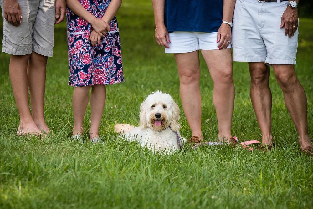 dog-and-family-legs-catch-a-spark-photography-terri-burke.jpg