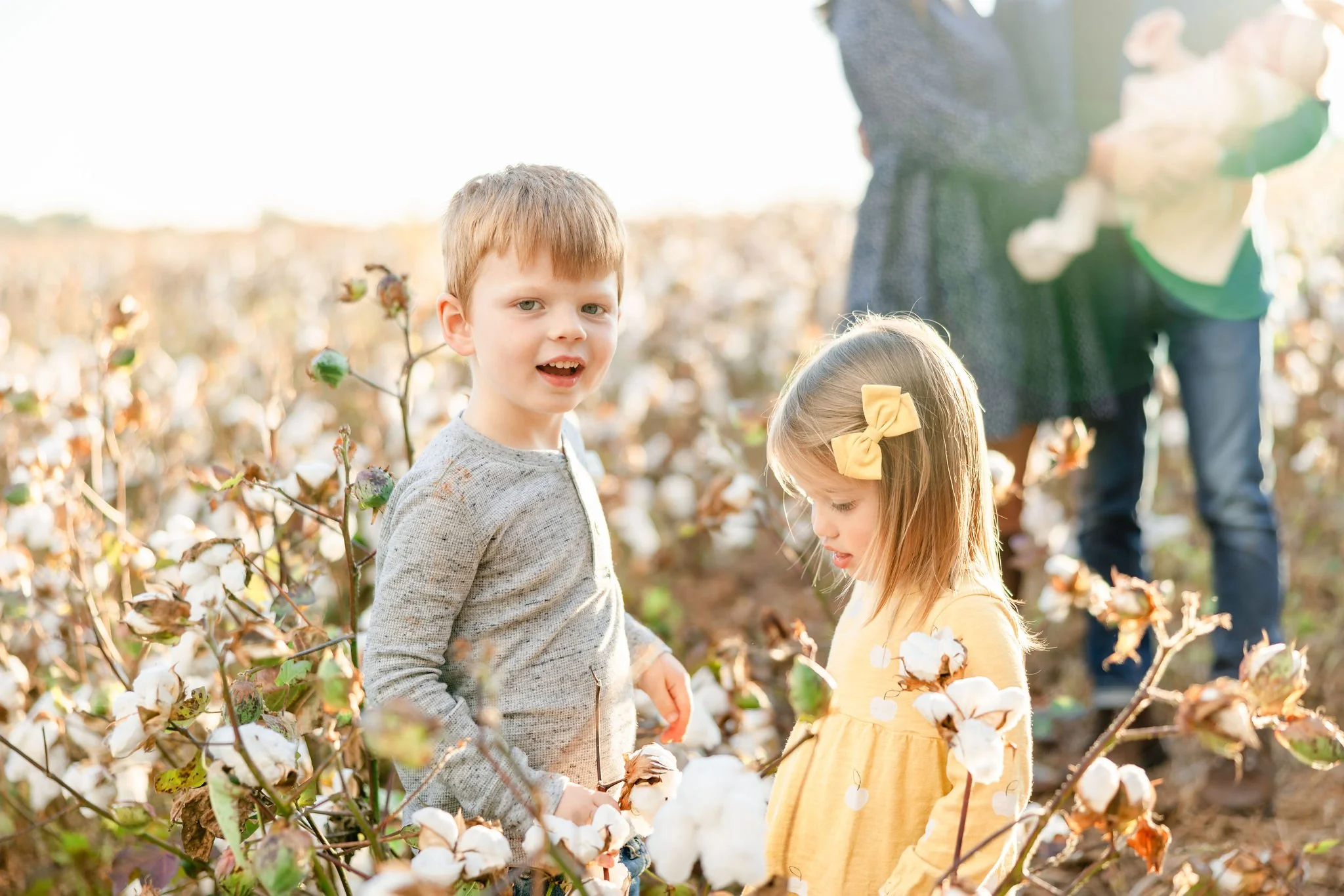 Fall2023FamilyCottonFields-5588.JPG