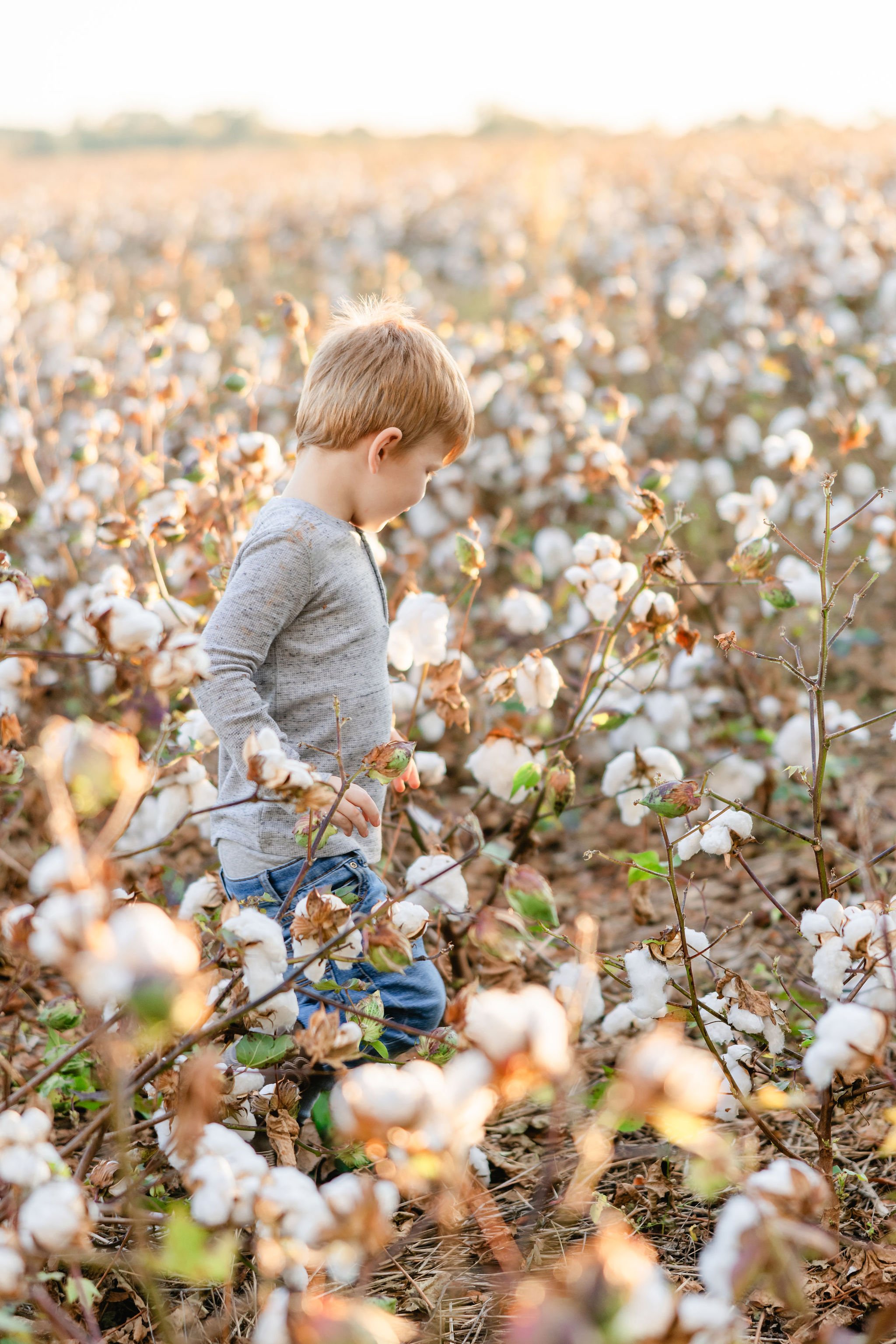 Fall2023FamilyCottonFields-6238.JPG