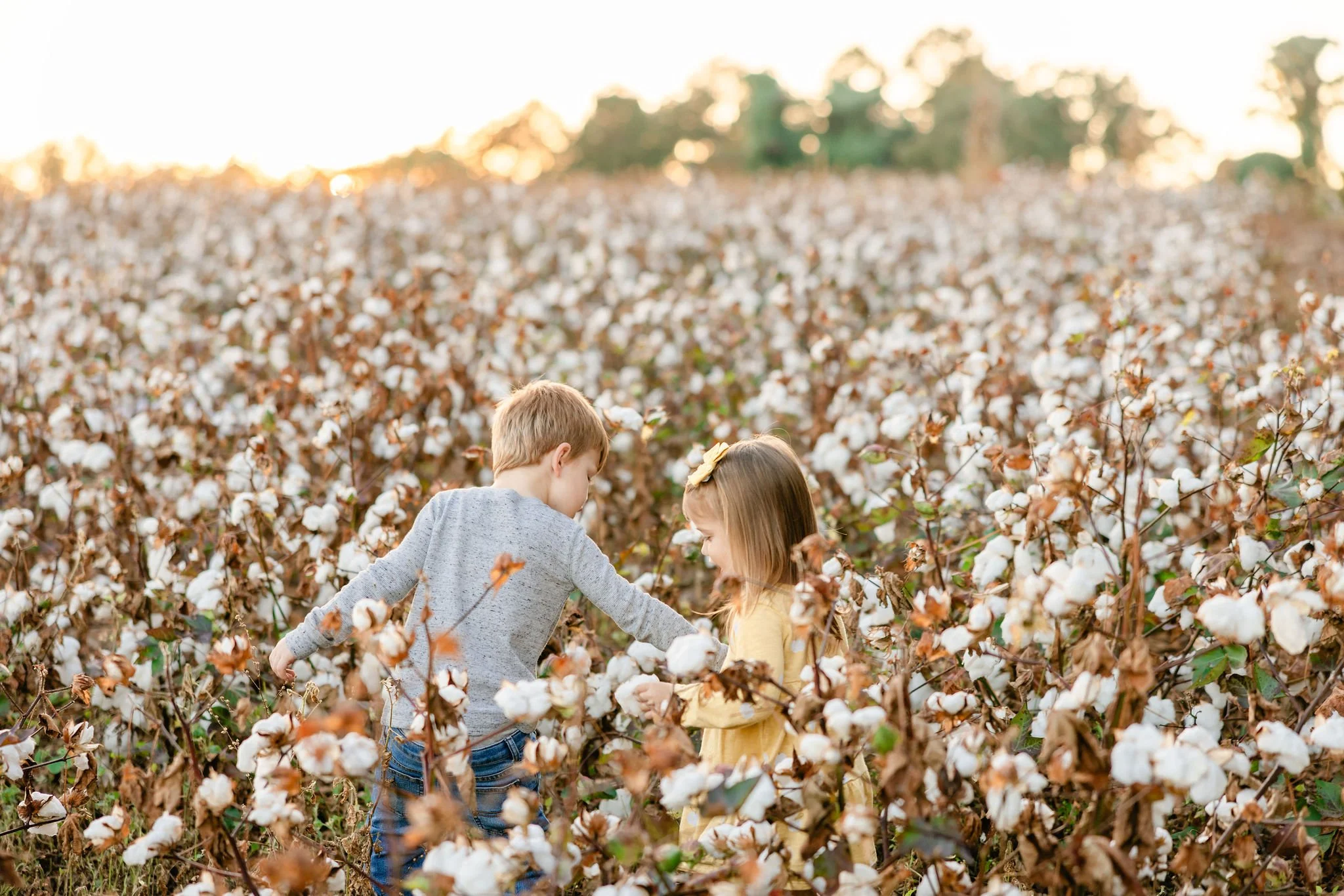 Fall2023FamilyCottonFields-6944.JPG