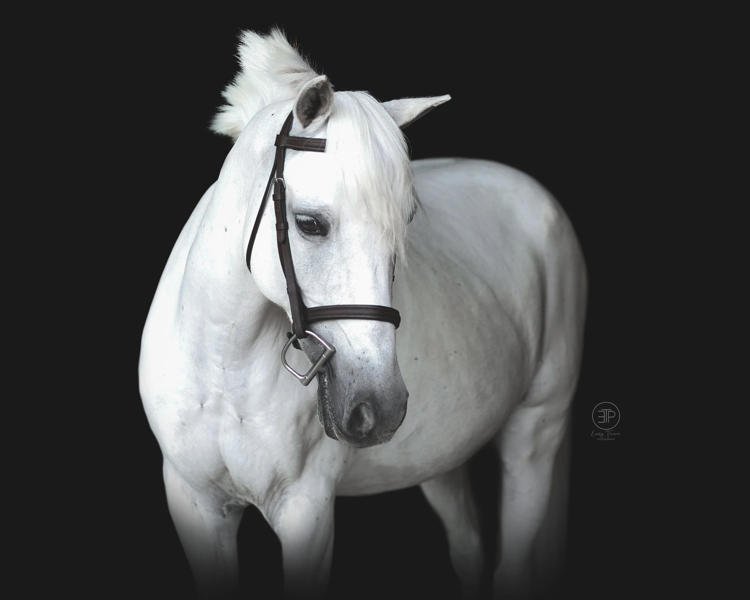 Hawley Farms Stables — Emily Thurner Photography