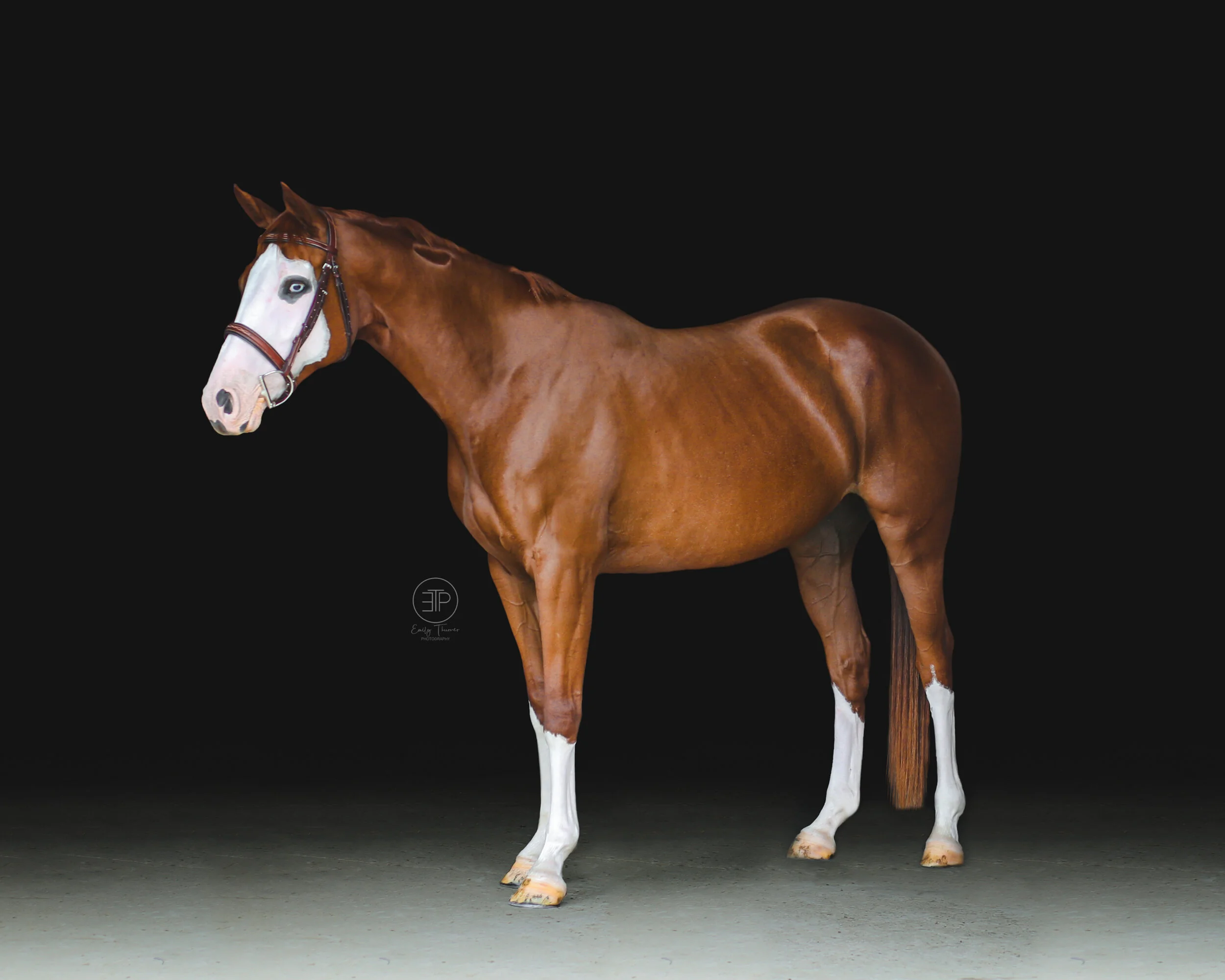 Hawley Farms Stables — Emily Thurner Photography