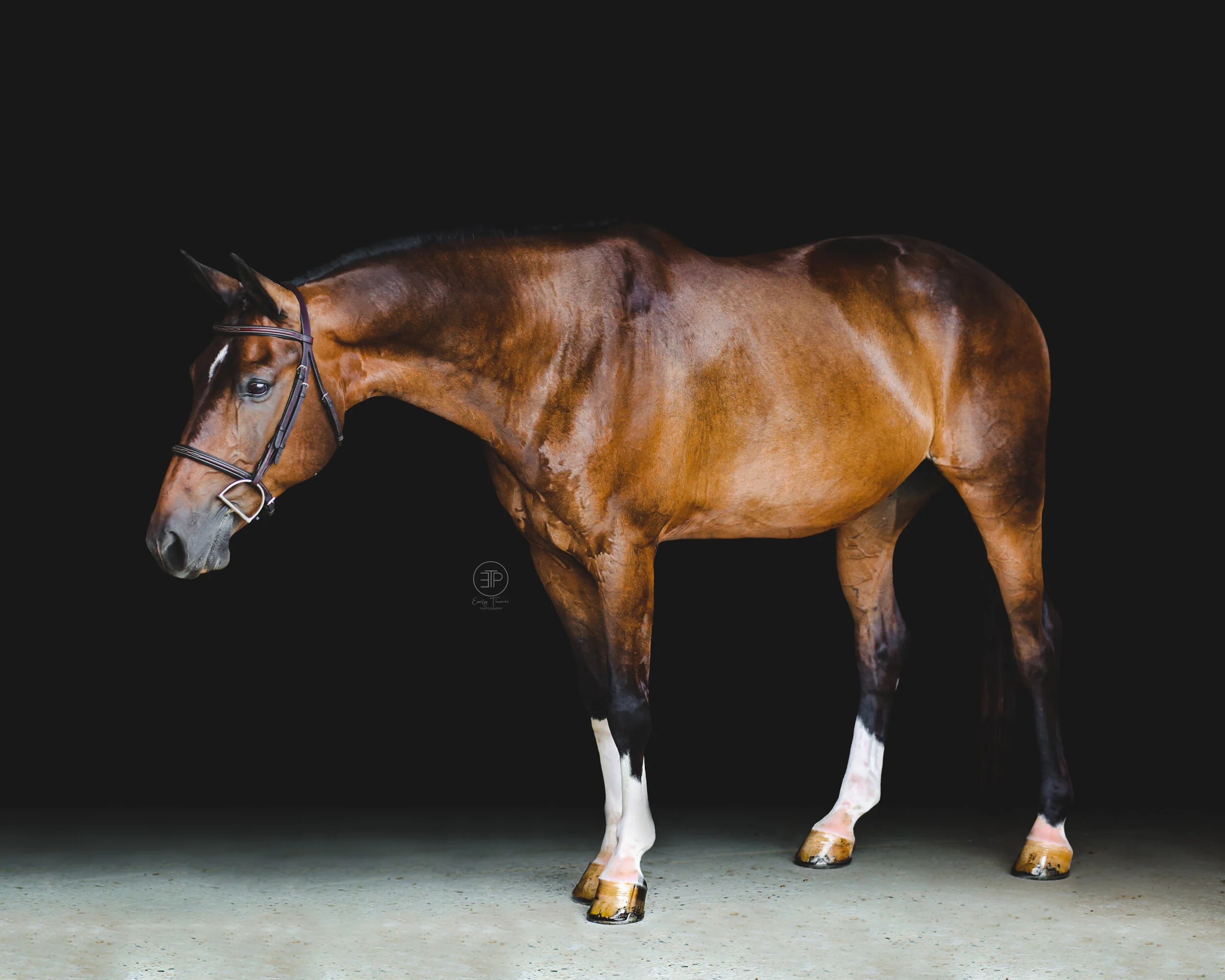 Hawley Farms Stables — Emily Thurner Photography