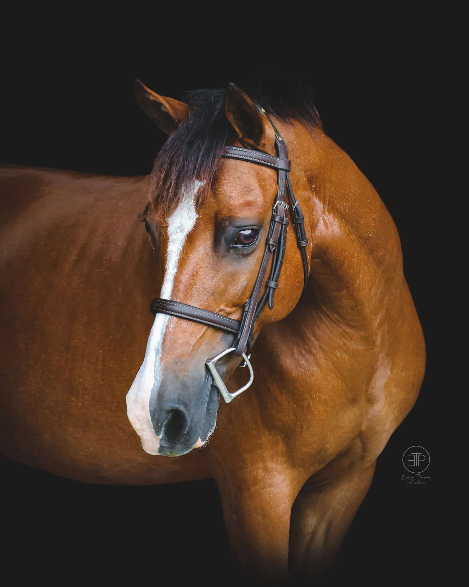 Hawley Farms Stables — Emily Thurner Photography