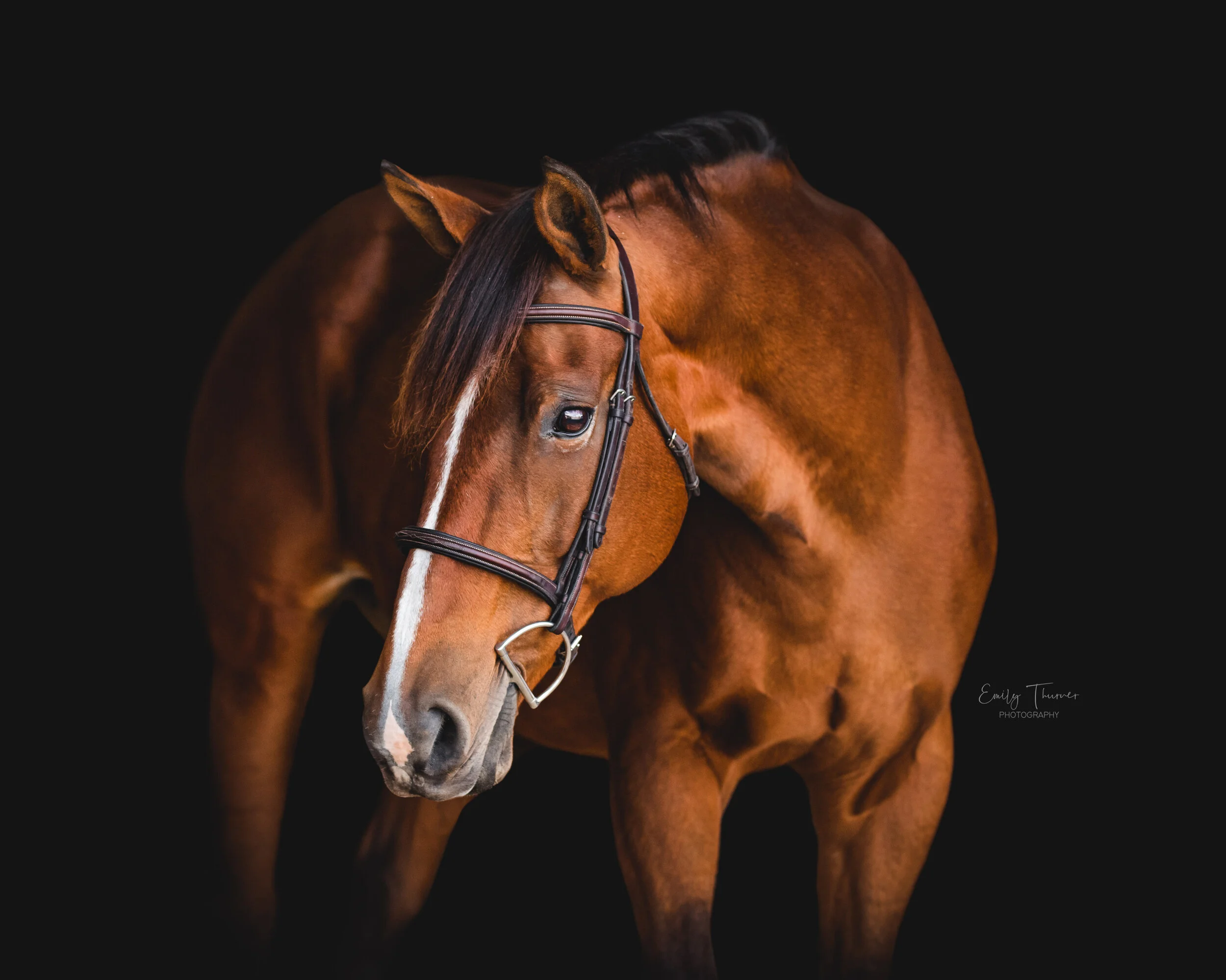 Hawley Farms Stables — Emily Thurner Photography
