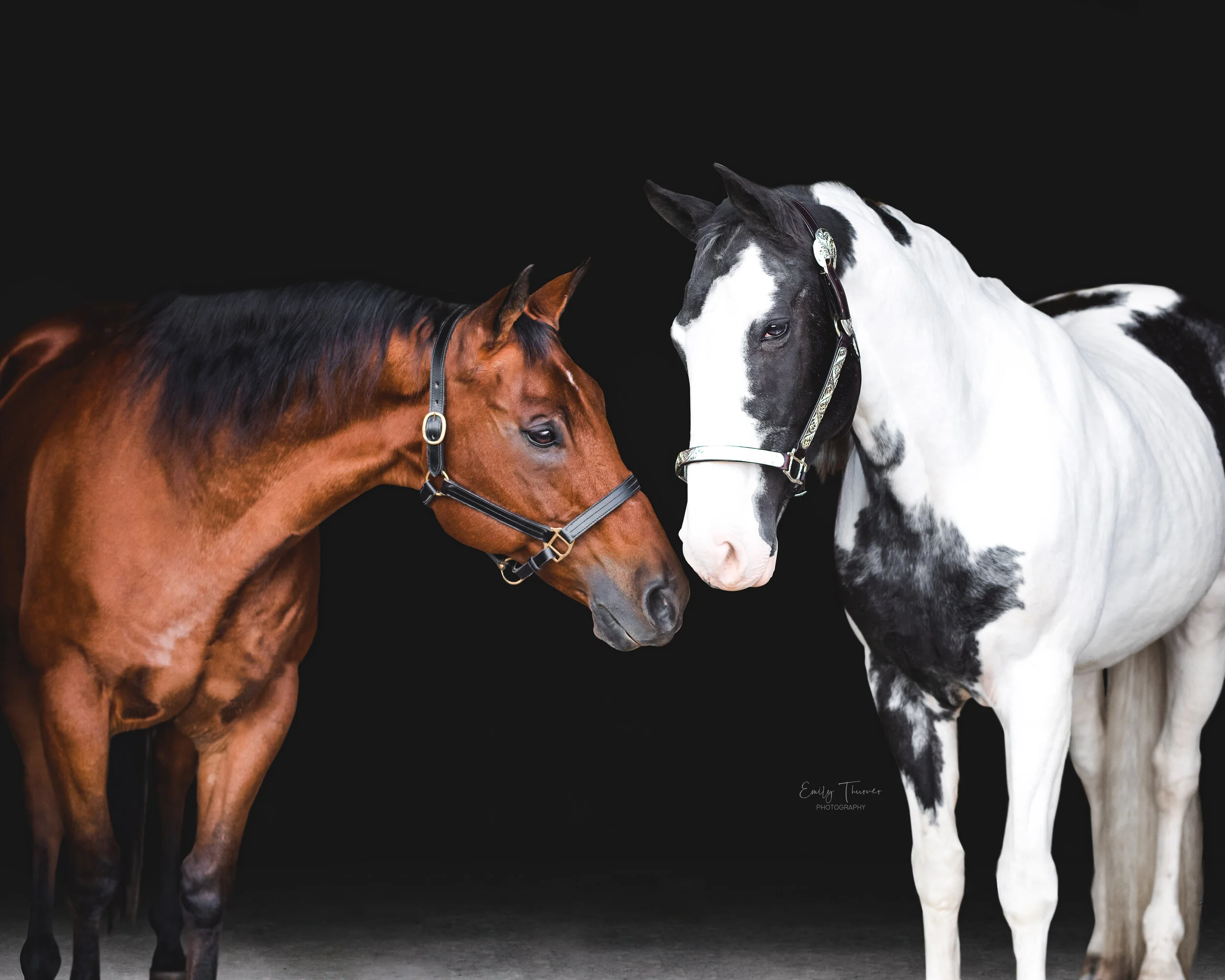 Hawley Farms Stables — Emily Thurner Photography
