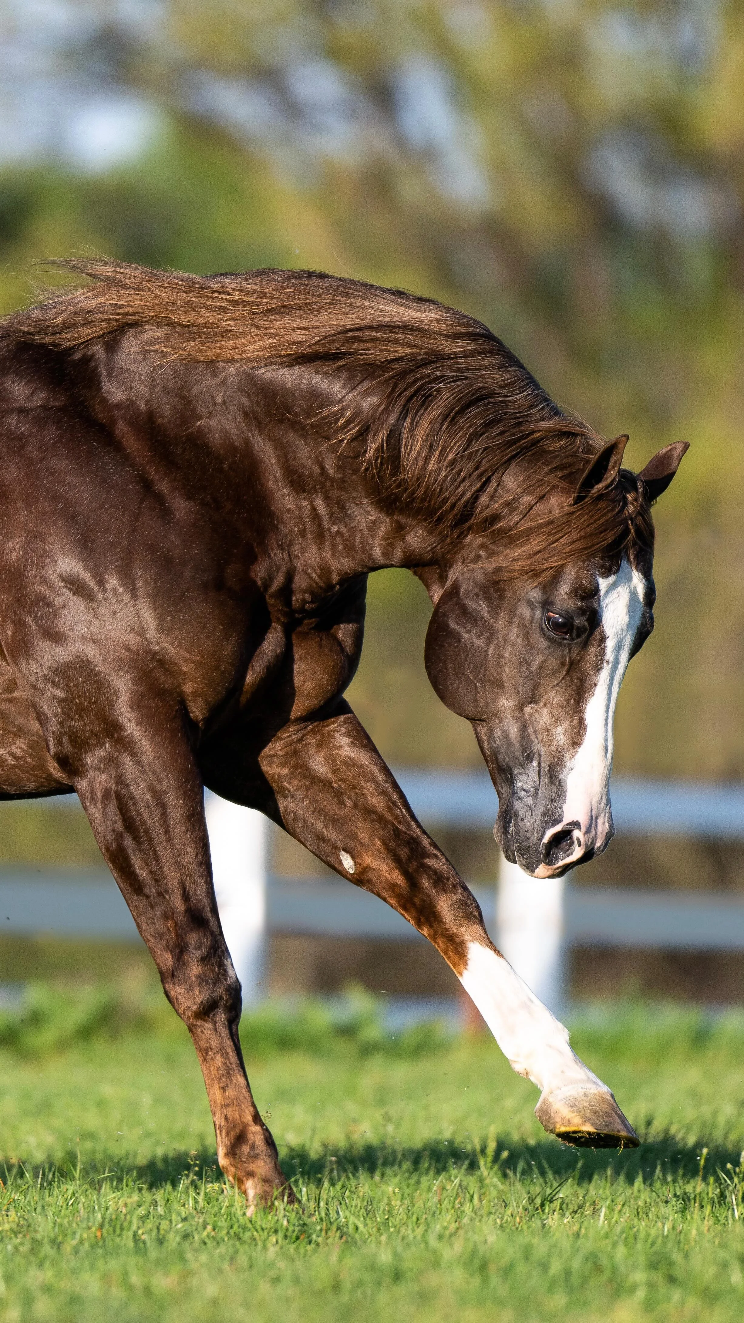 Hawley Farms Stables — Emily Thurner Photography