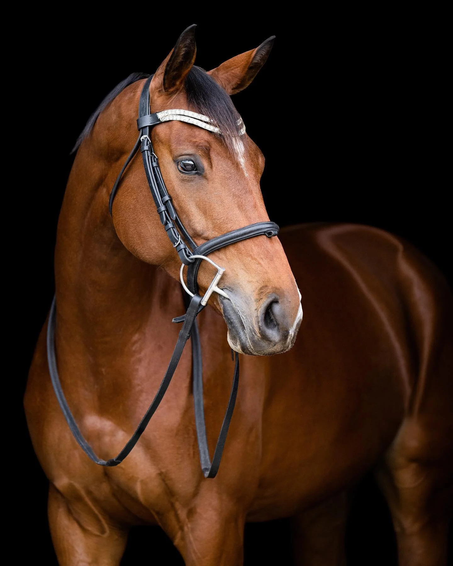 Hawley Farms Stables — Emily Thurner Photography