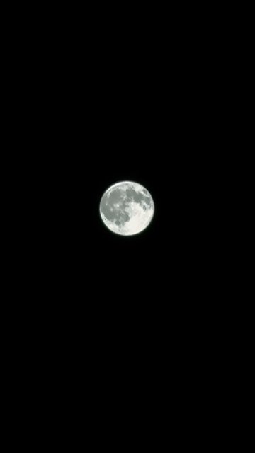IMG_2705.jpeg