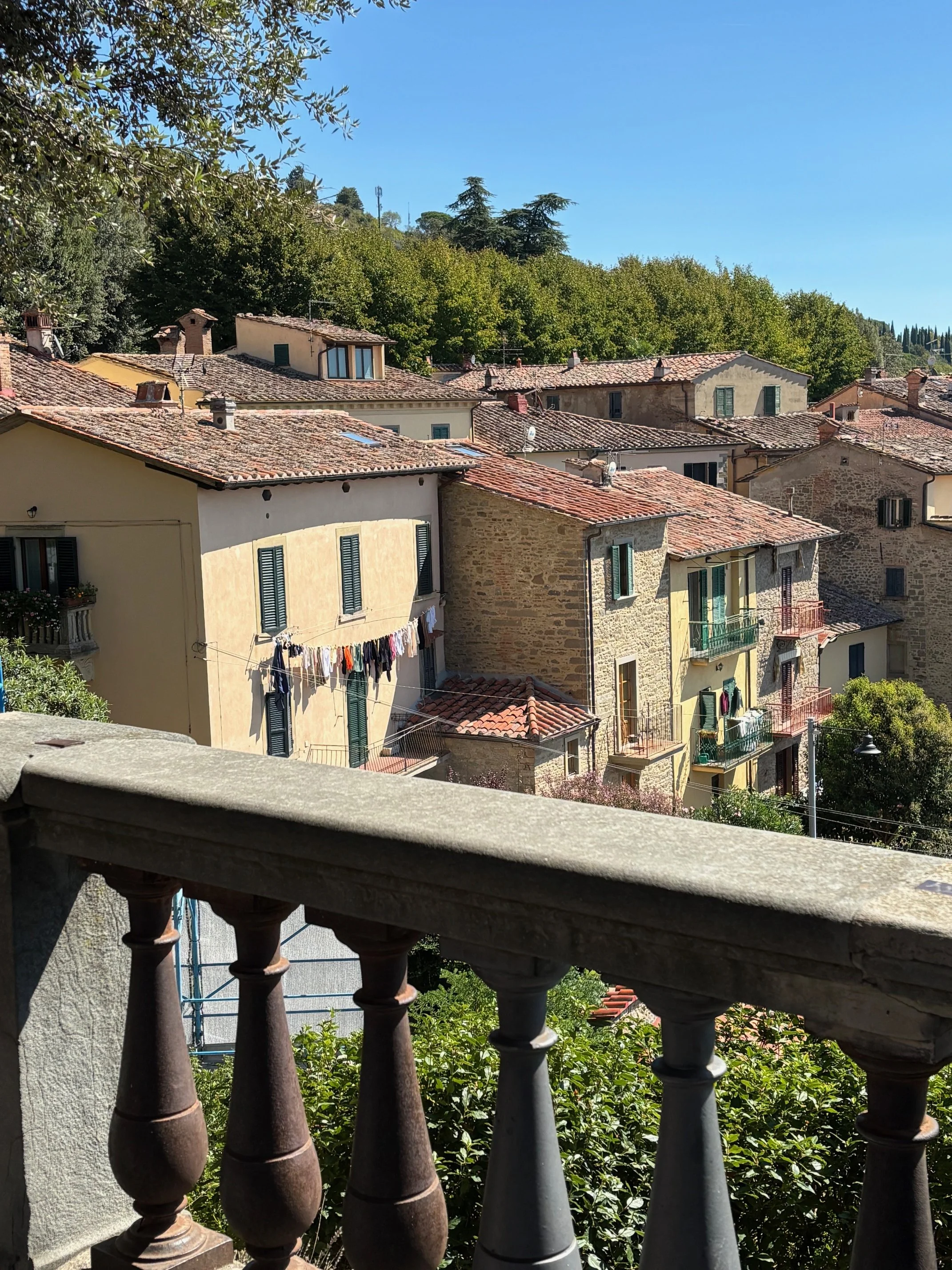 IMG_1950.jpeg