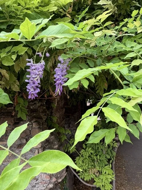 IMG_0721.jpeg