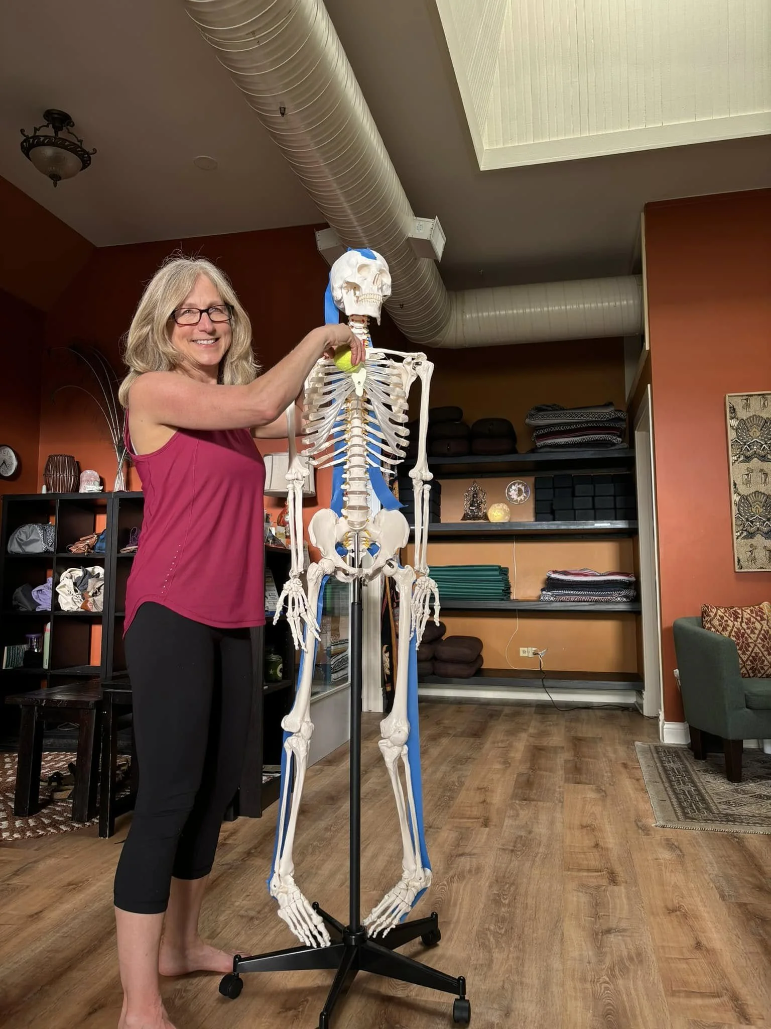 denise anatomy.jpg