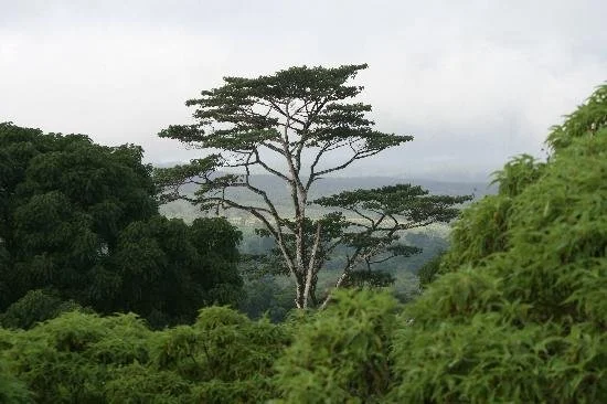 galapagos view 2.jpg