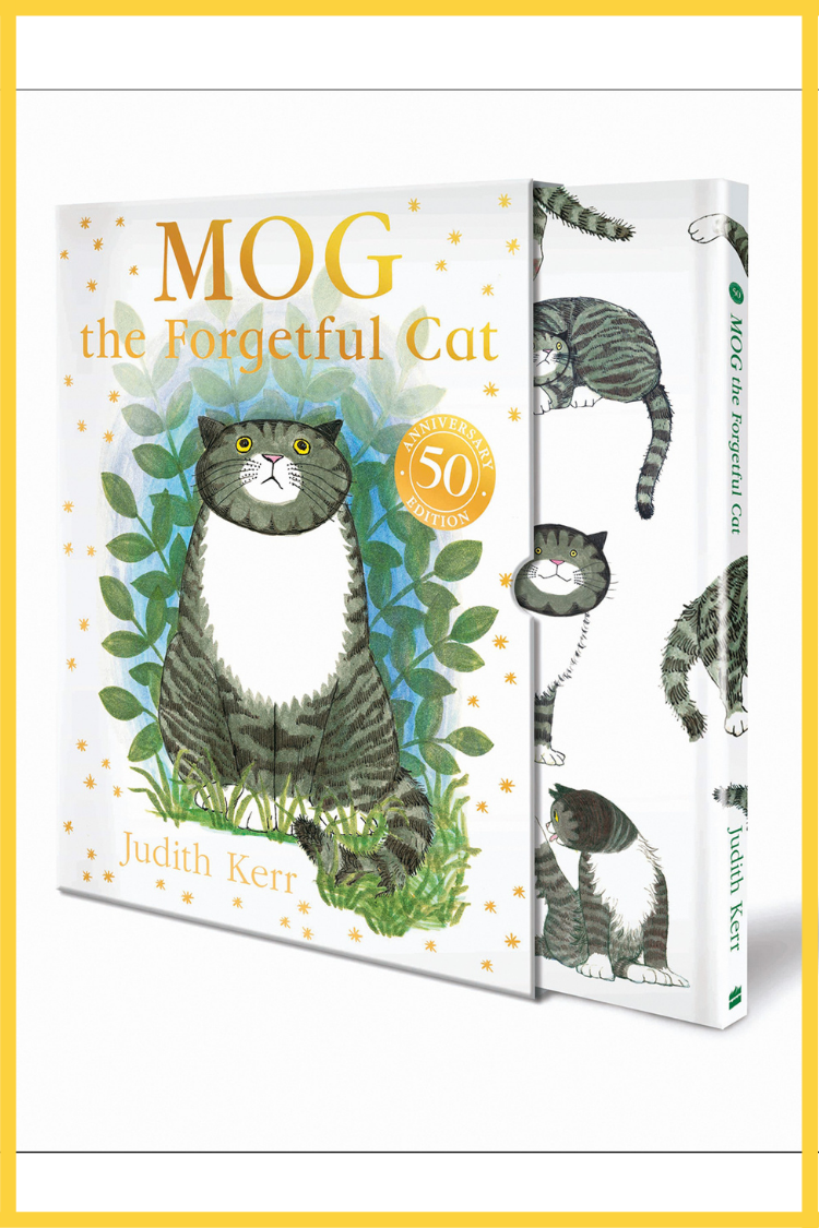 Mog the Forgetful Cat 