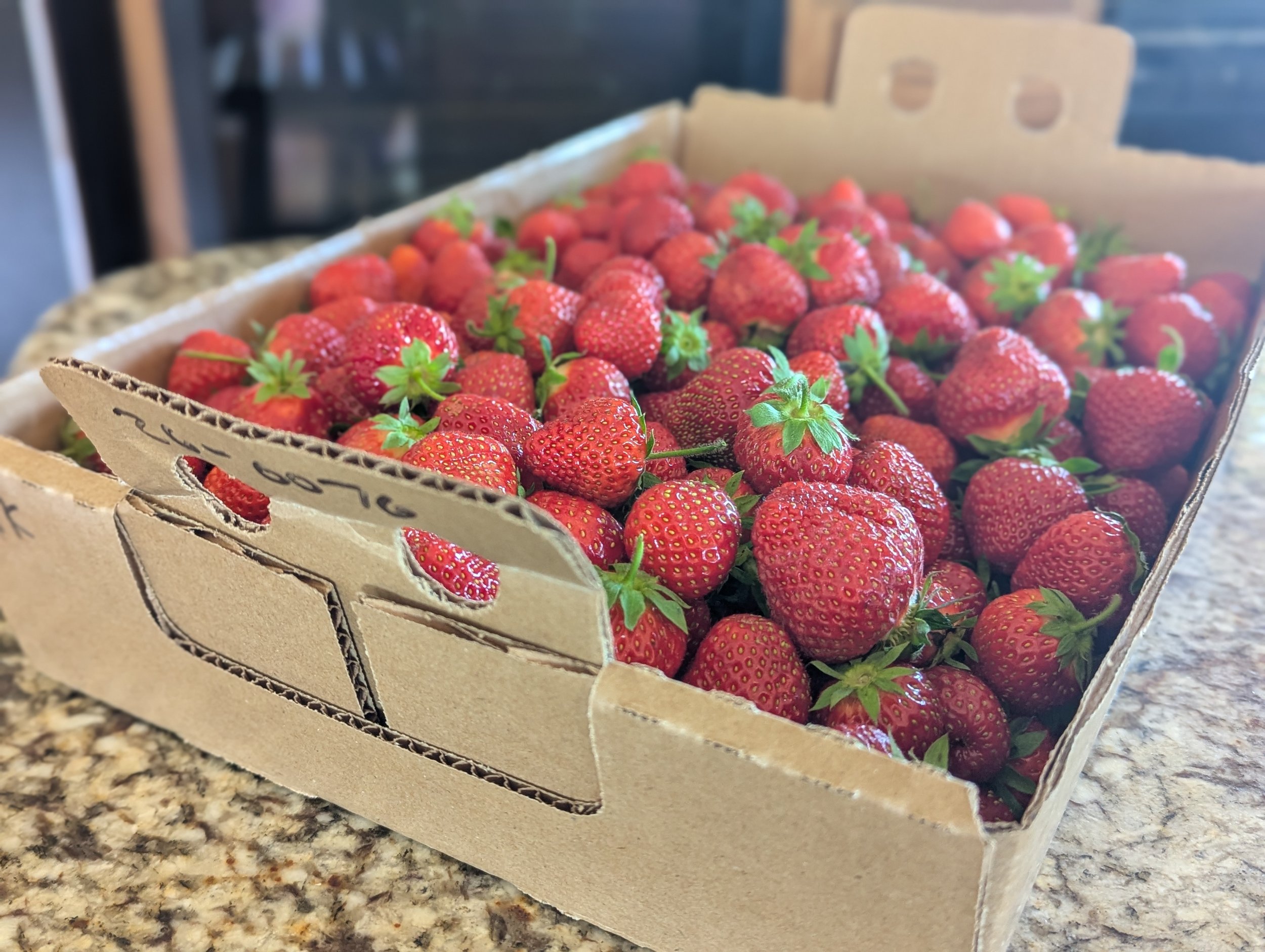 A Lesson from Strawberry Season