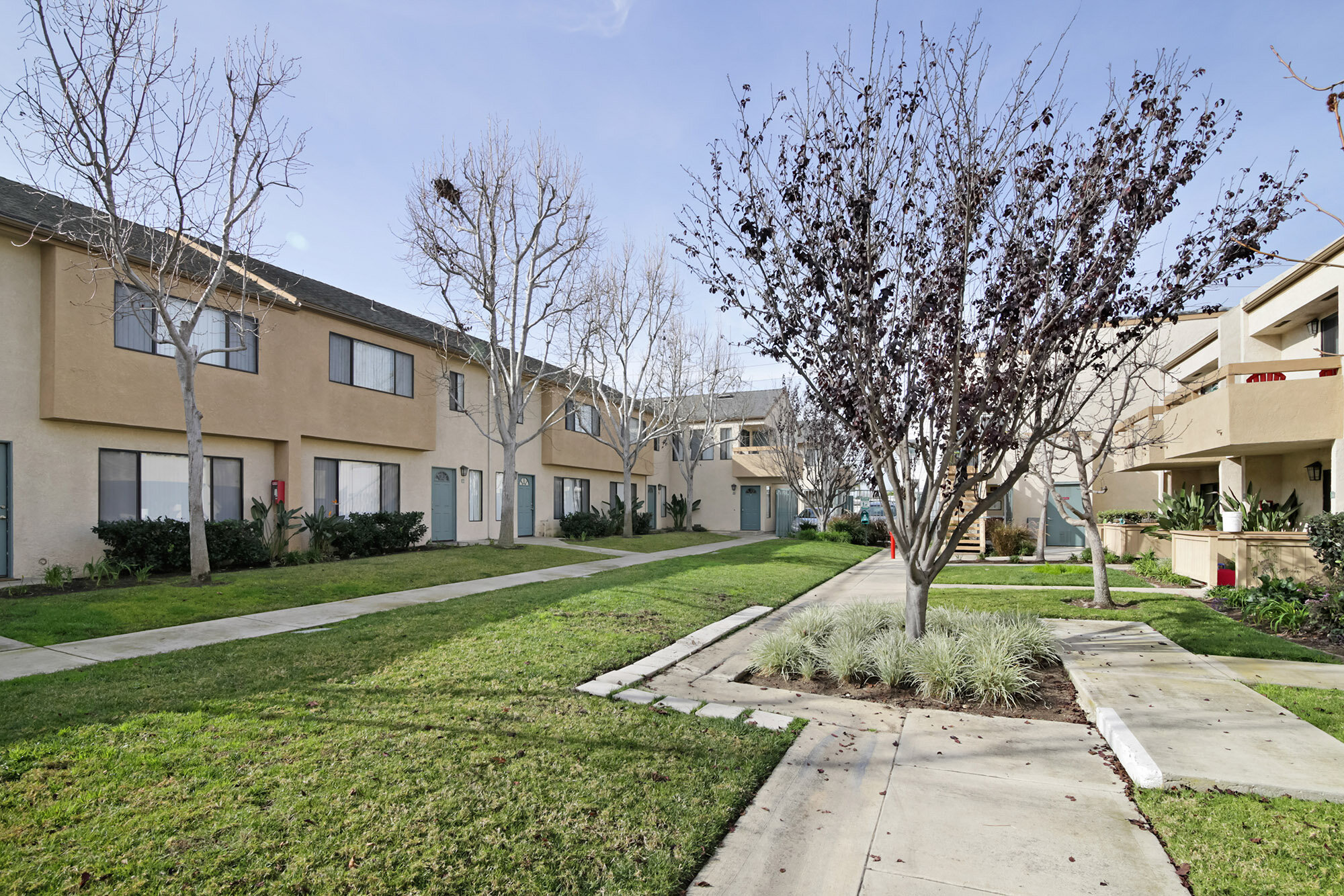 Wallace Court — QRM