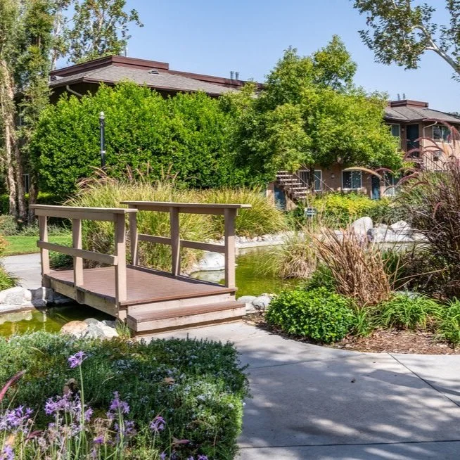 Top Amenities for Renters