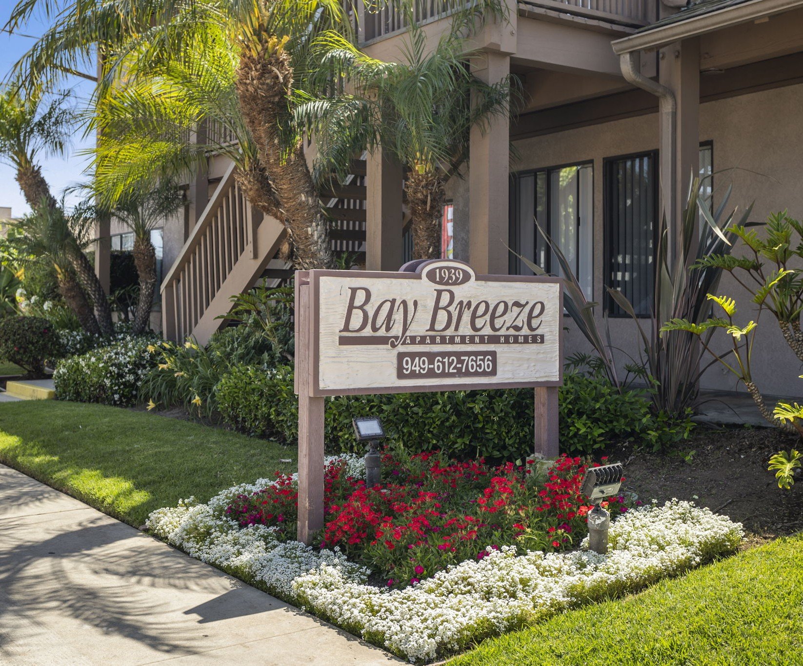 Bay Breeze