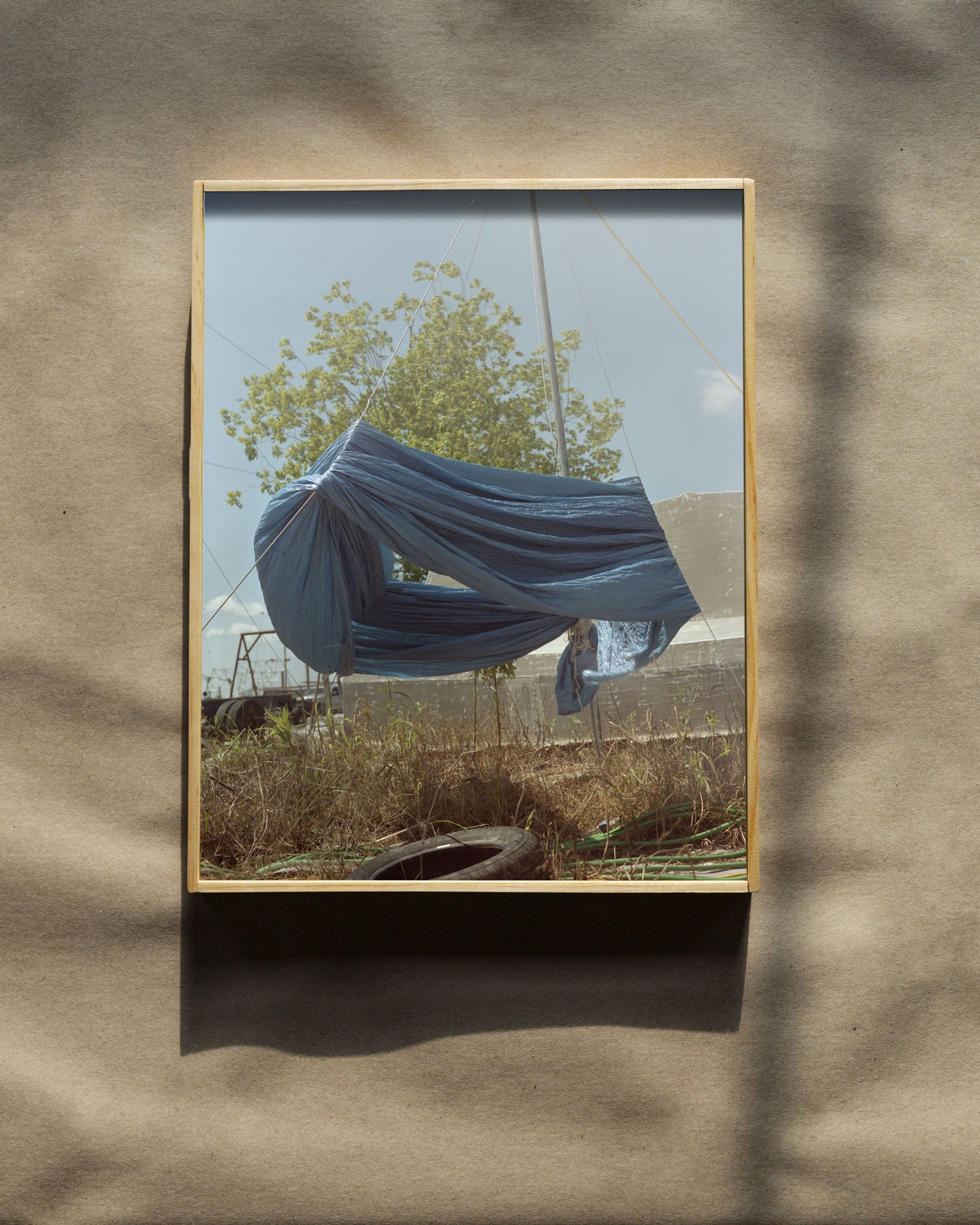 pick-up-shrimp-framed-mock.jpg