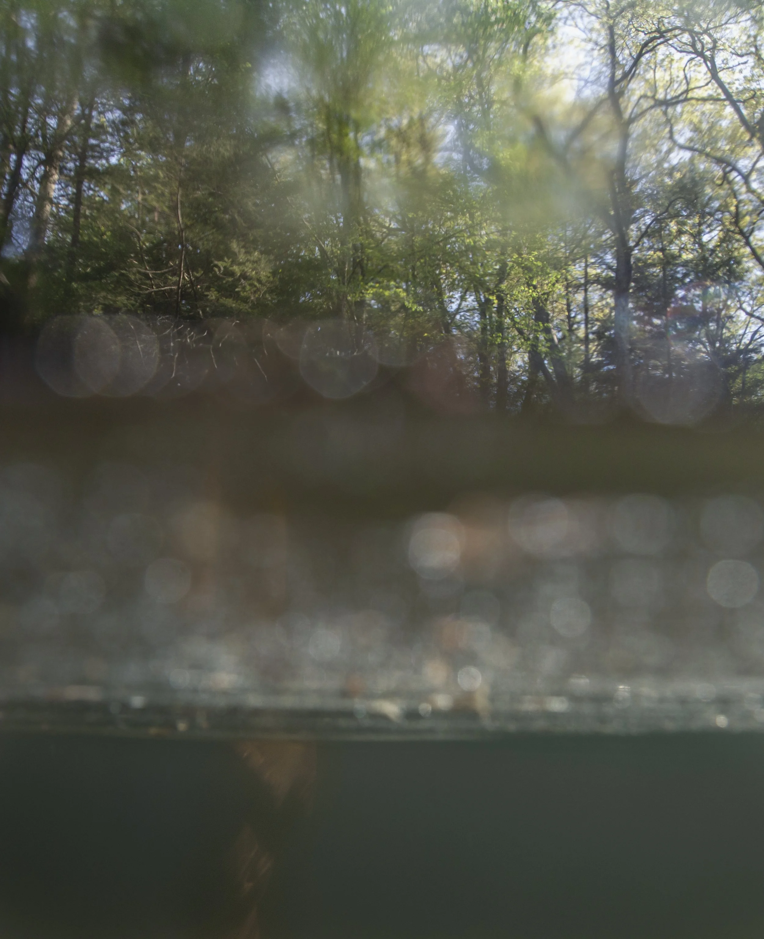 river_May_214_20240507.jpg