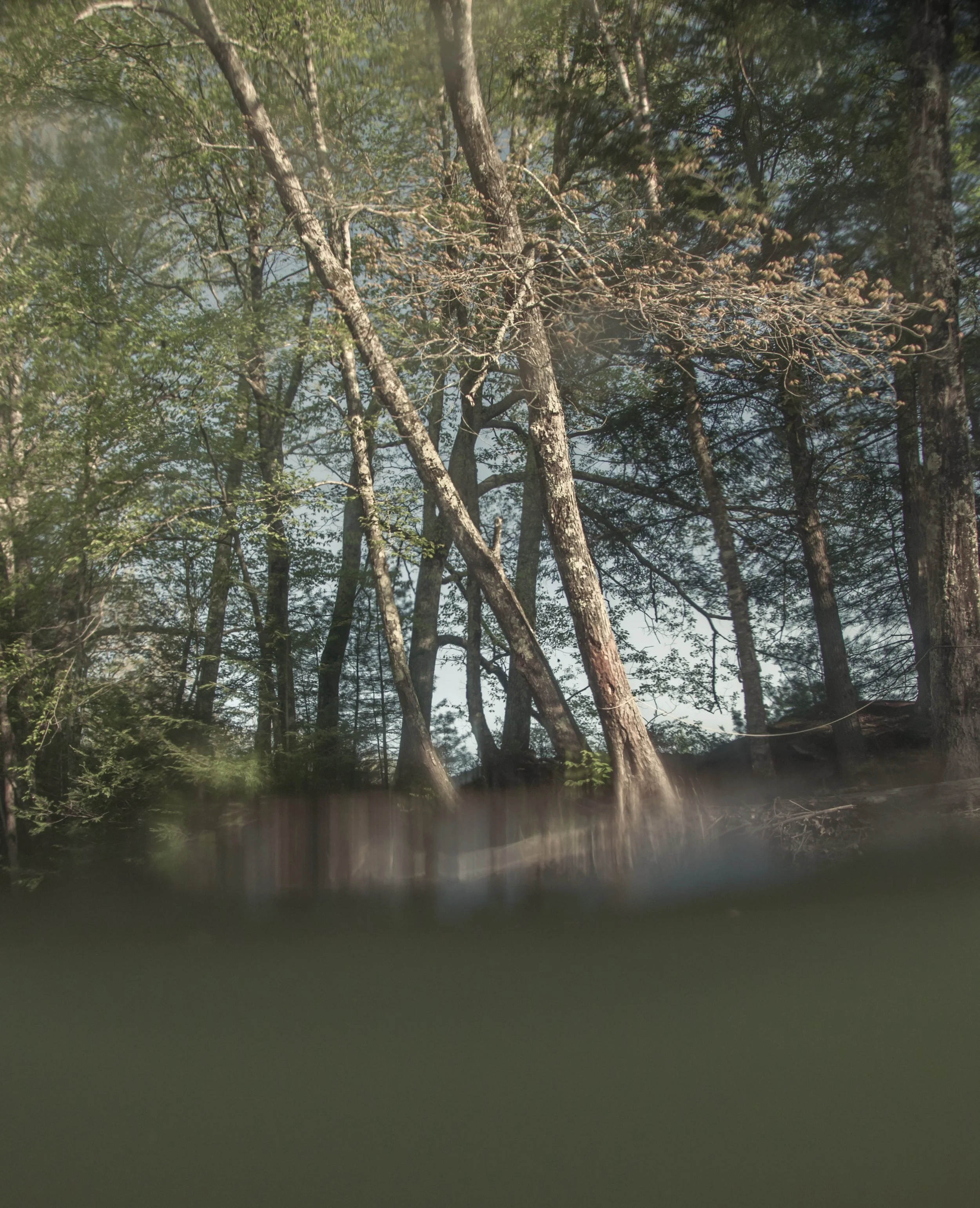 river_May_244_20240507.jpg