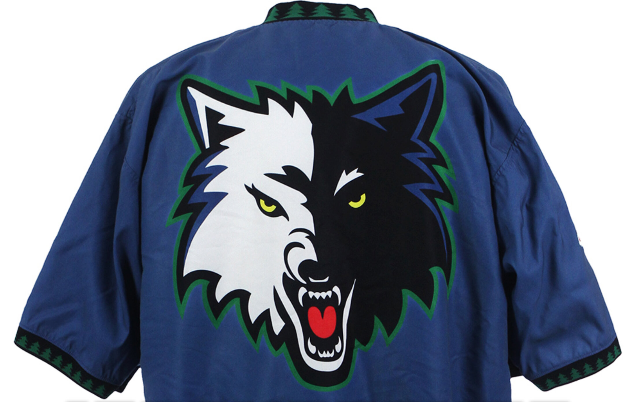 Minnesota Timberwolves — Sports Design Agency