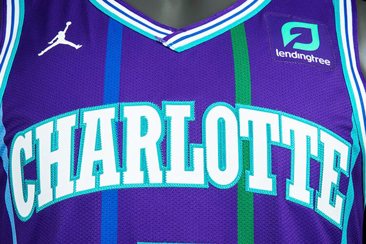 Charlotte Hornets Alternate Uniform  Charlotte hornets, Hornet, Charlotte  hornets logo