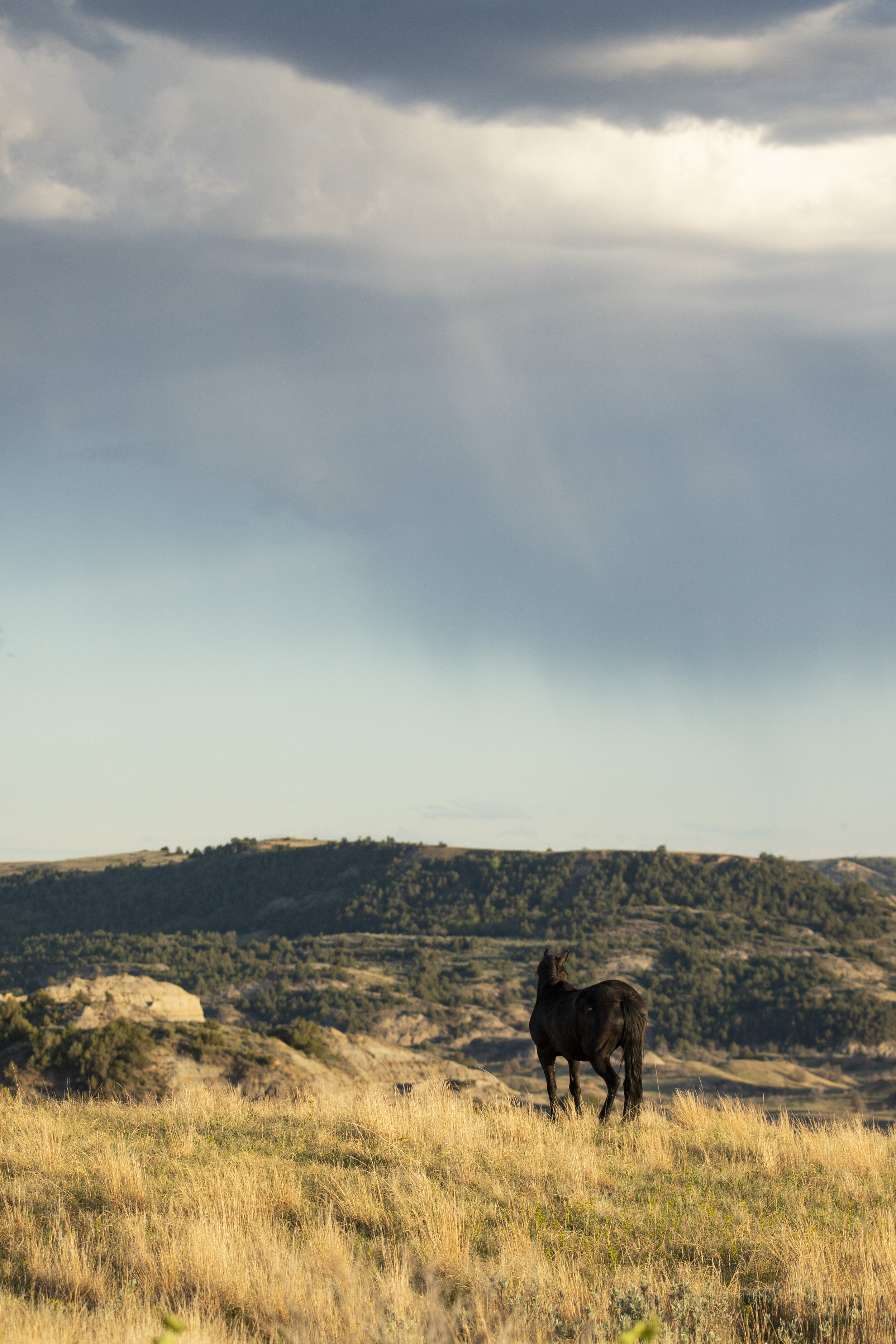 Rain Clouds in the Distance