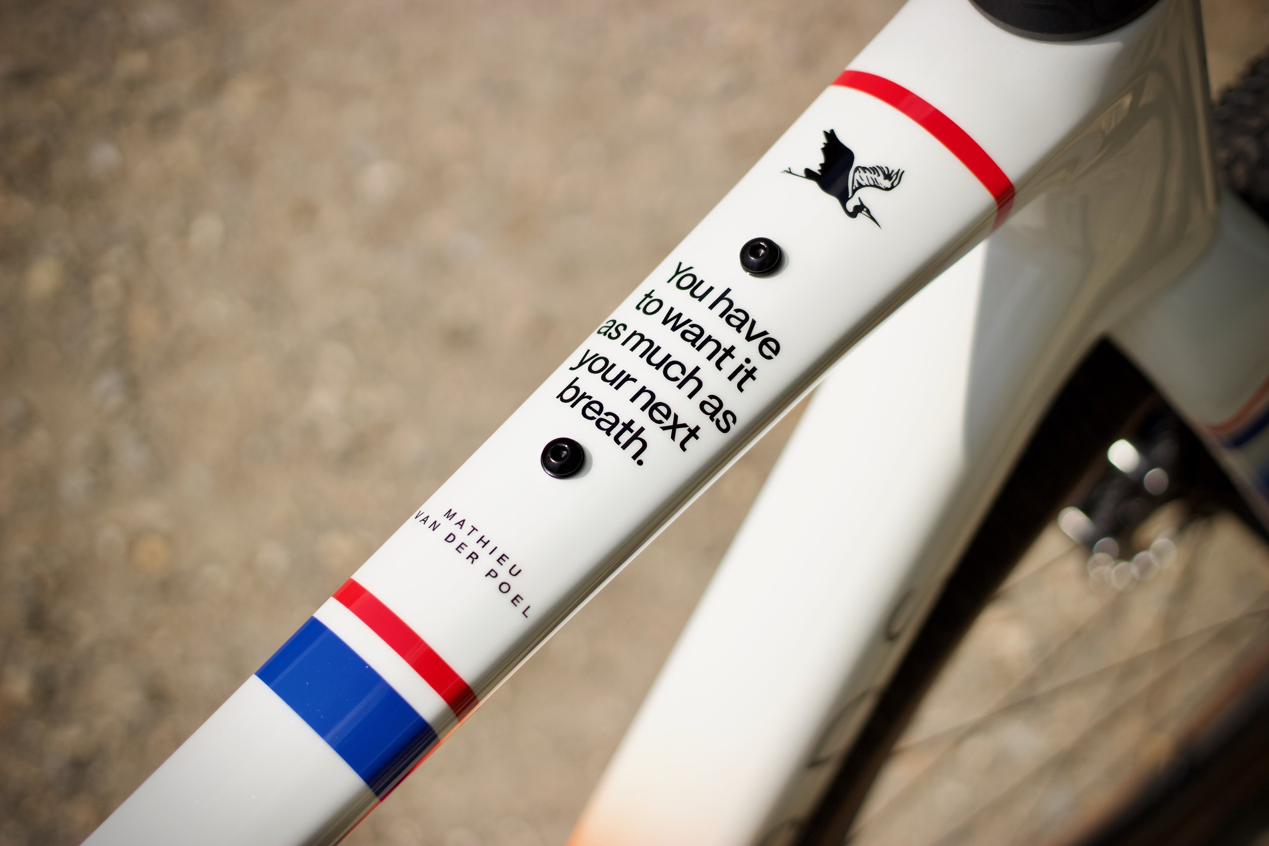 forwards_x_the_handmade_cyclist_build_53_mvp_1_full_res_048.jpeg