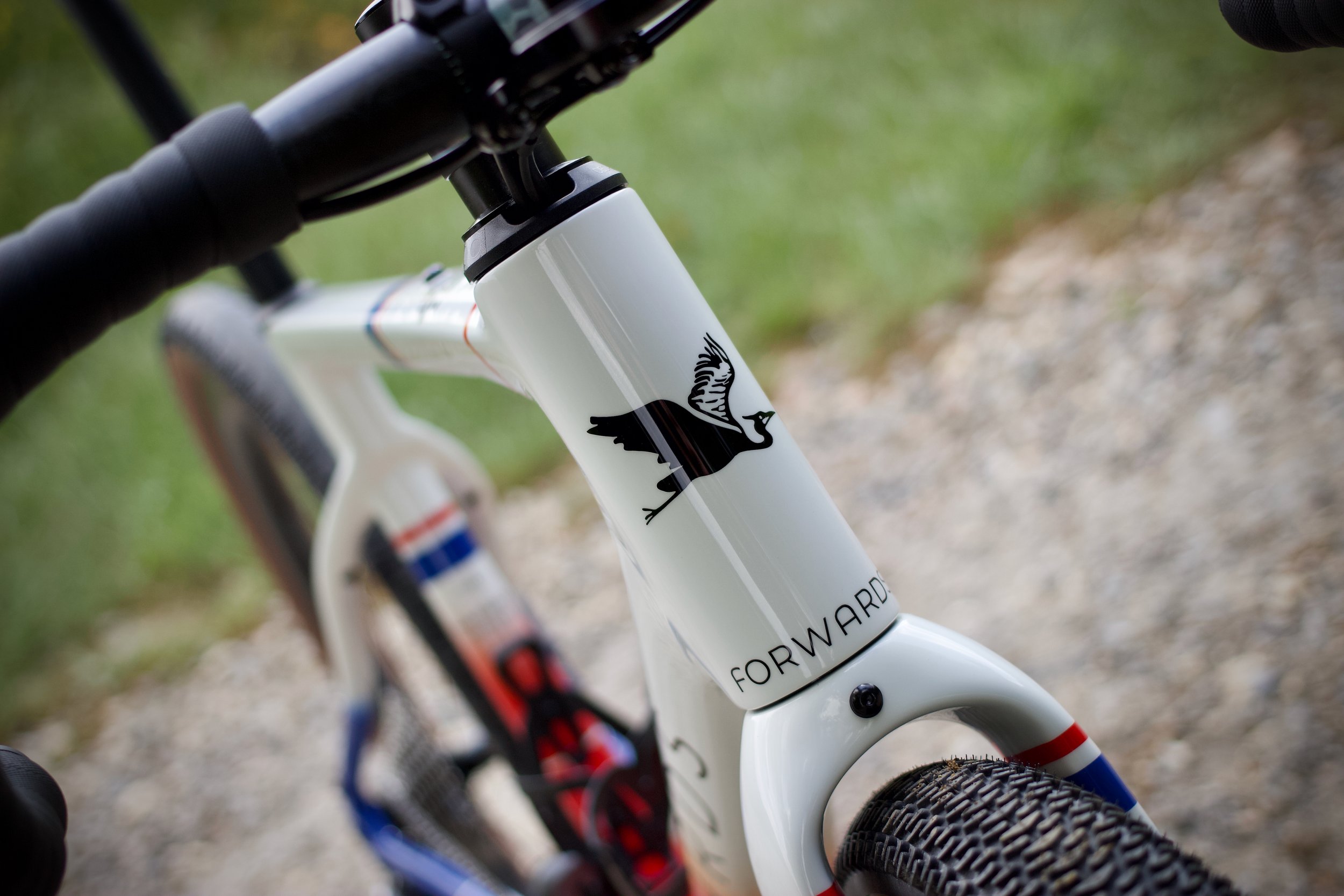 forwards_x_the_handmade_cyclist_build_53_mvp_1_full_res_003.jpeg