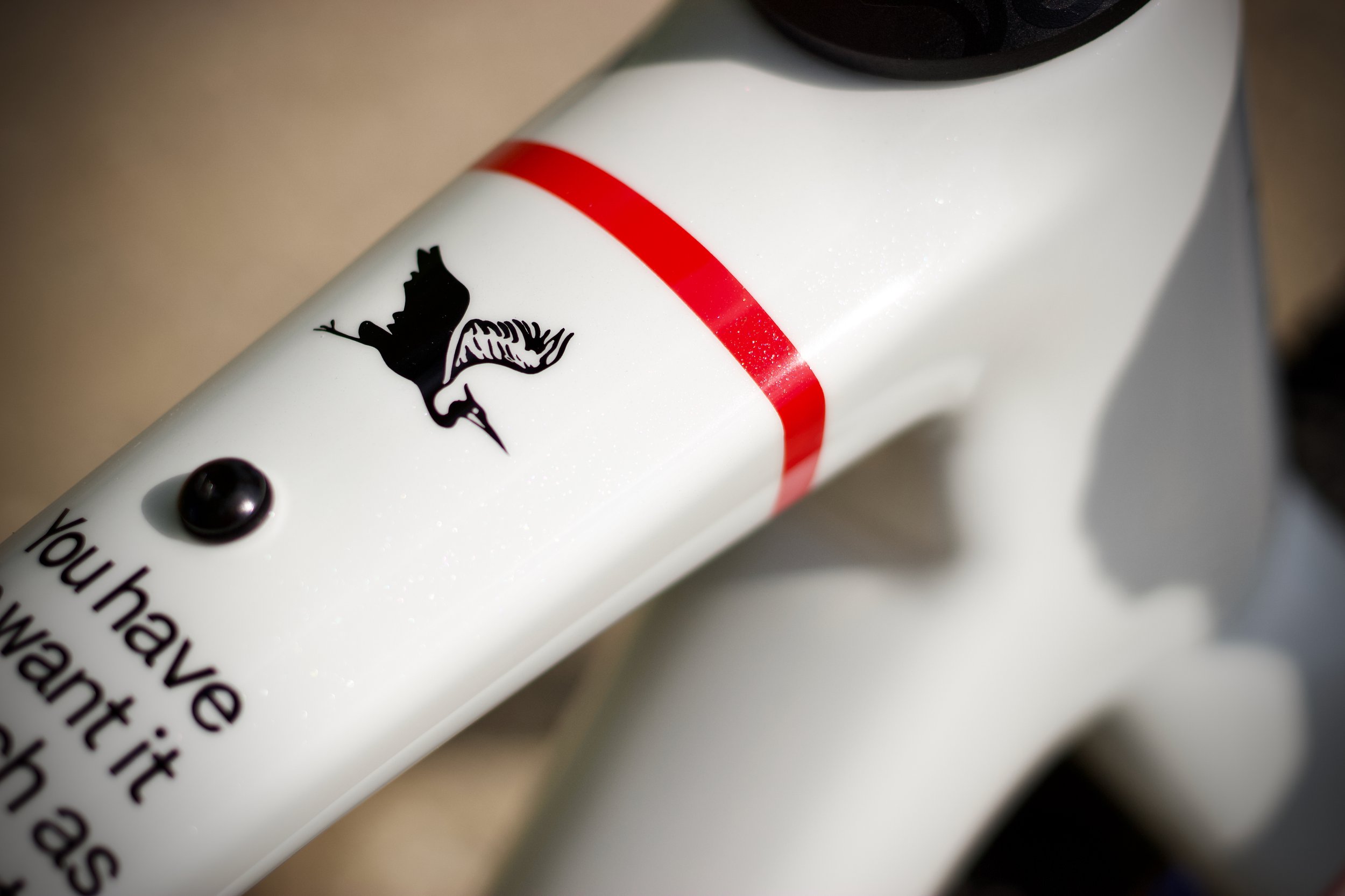forwards_x_the_handmade_cyclist_build_53_mvp_1_full_res_040.jpeg
