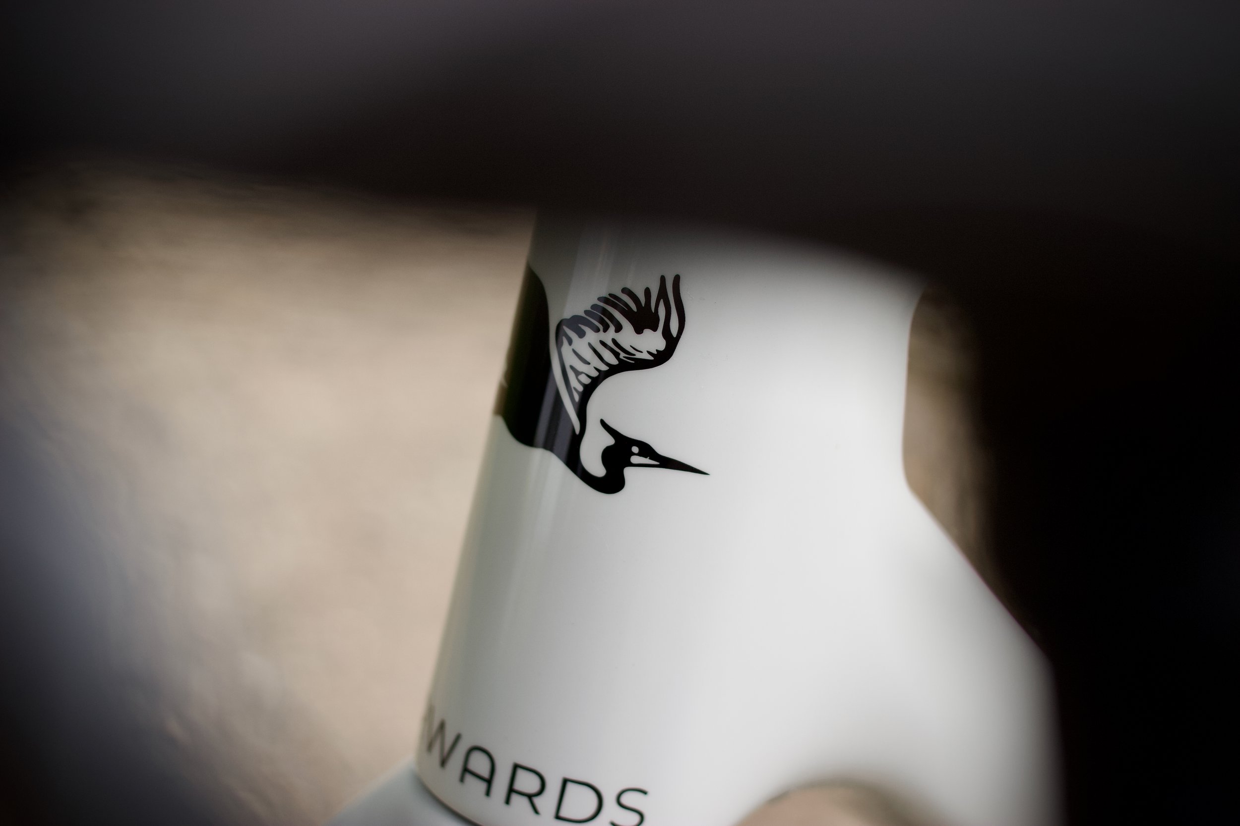 forwards_x_the_handmade_cyclist_build_53_mvp_1_full_res_026.jpeg