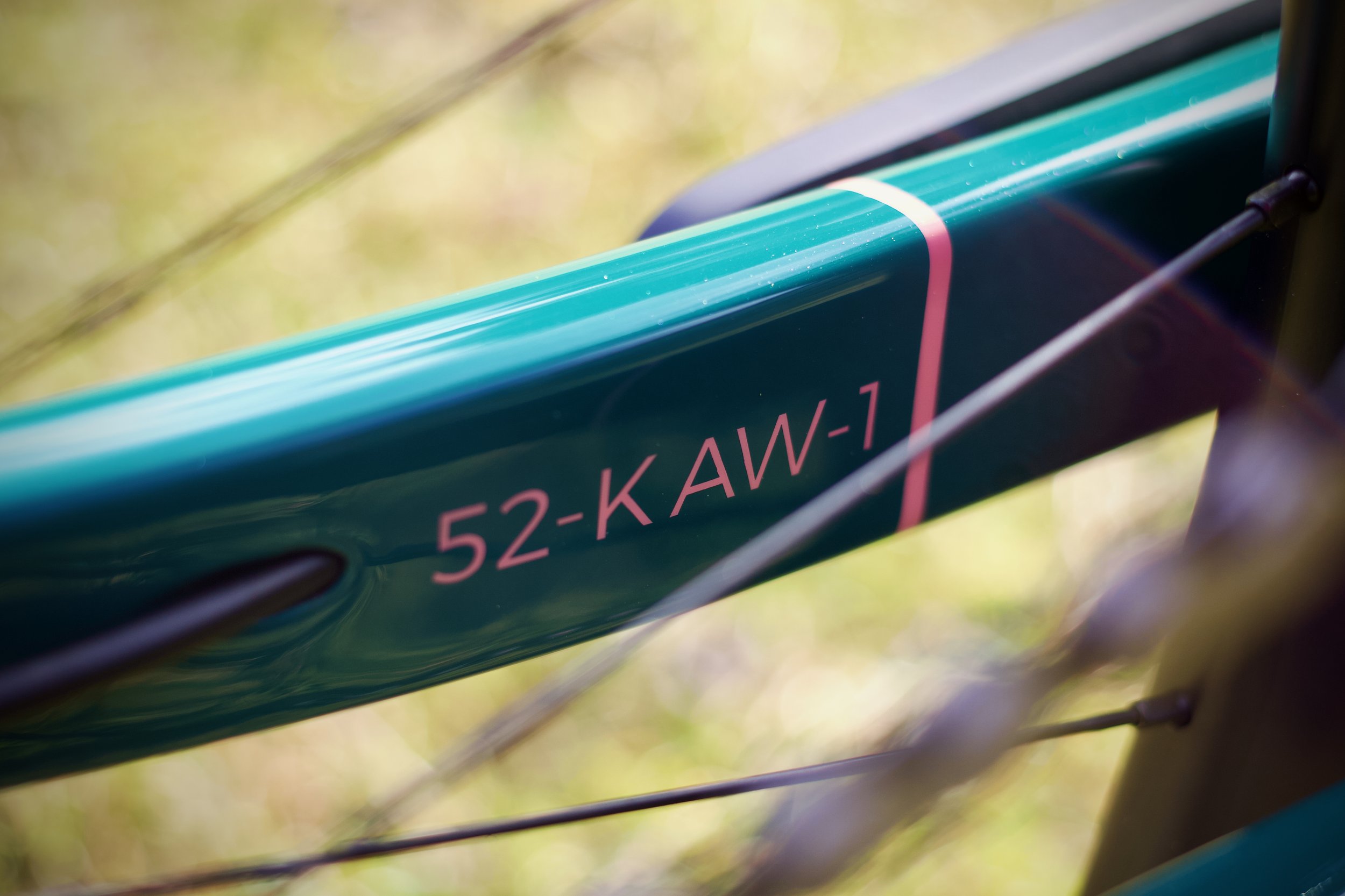 forwards_x_the_handmade_cyclist_bikmo_build_52_kaw_1_full_res_025.jpeg