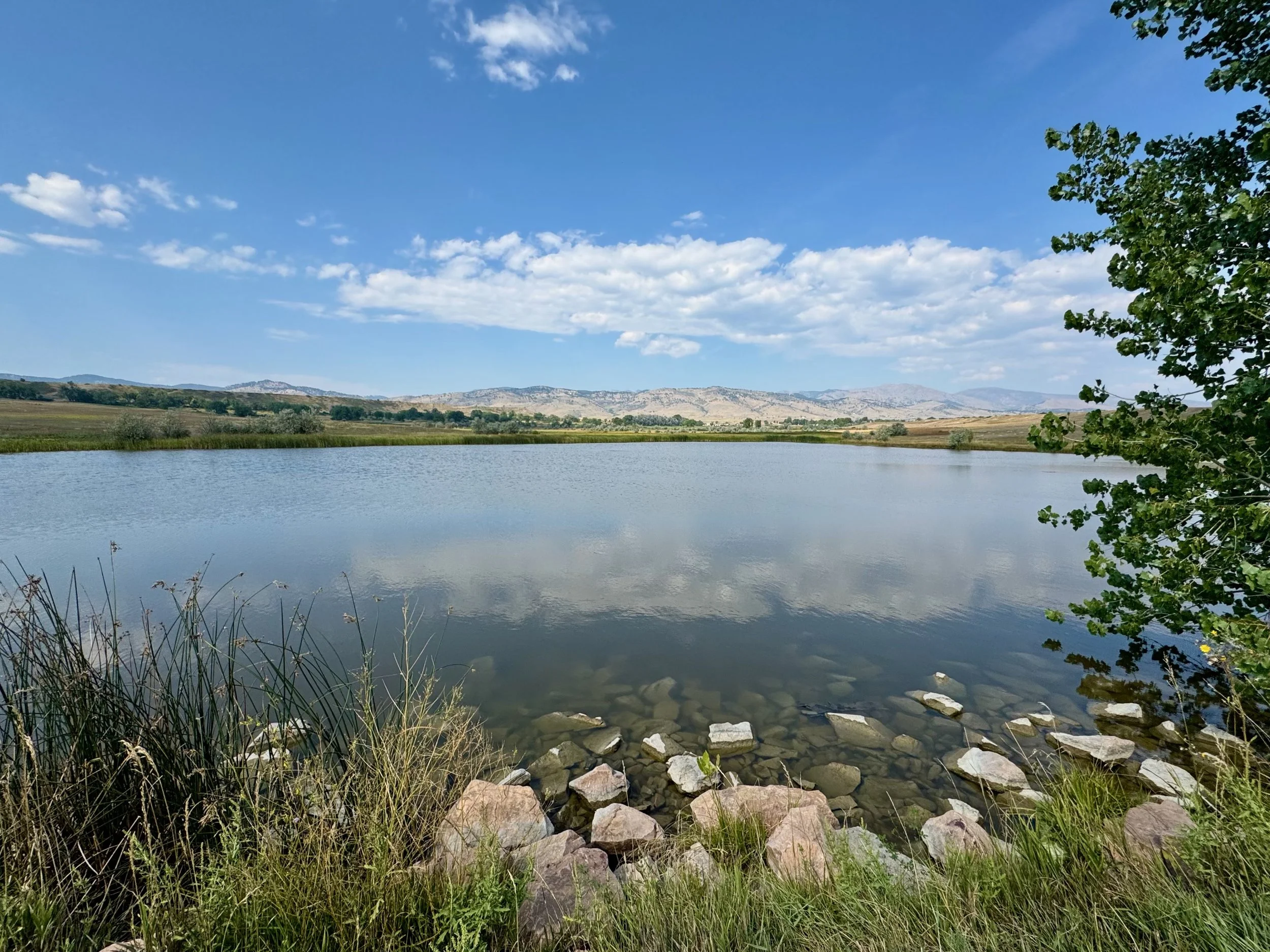 day_2_colarado_forward_cycling_gravel_bike_adventure_ryan_van_duzer_boulder_tour_012-compressed.jpeg