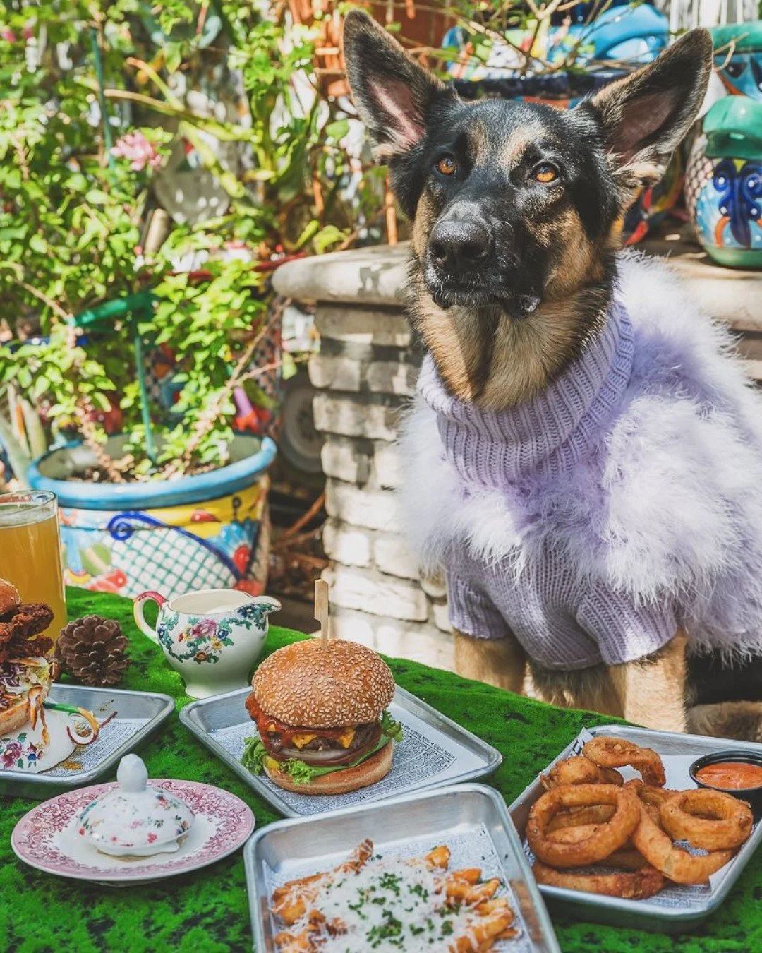 Suns out, paws out ☀️🐾 It is perfect patio season here in Vegas so why not bring your best friend to happy hour?

Happy Hour
Wed-Thu: 5-7PM
Fri-Sun: 4-6PM