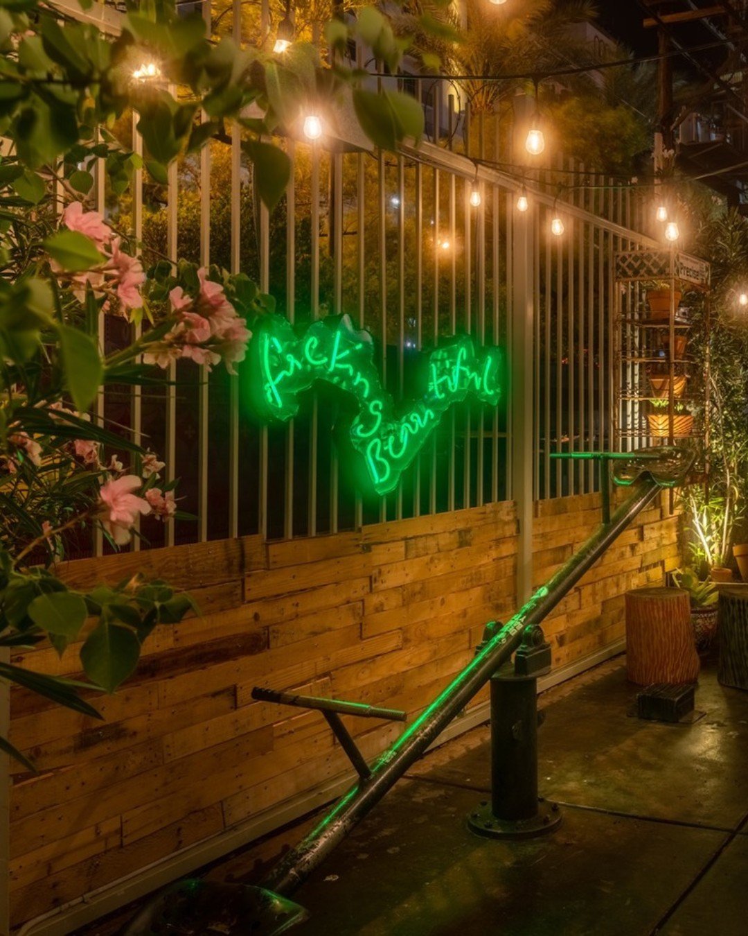 Send this to someone who is F***ing Beautiful 😉 ✨