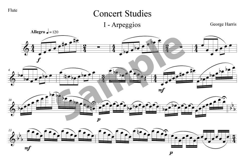 Concert Studies.png